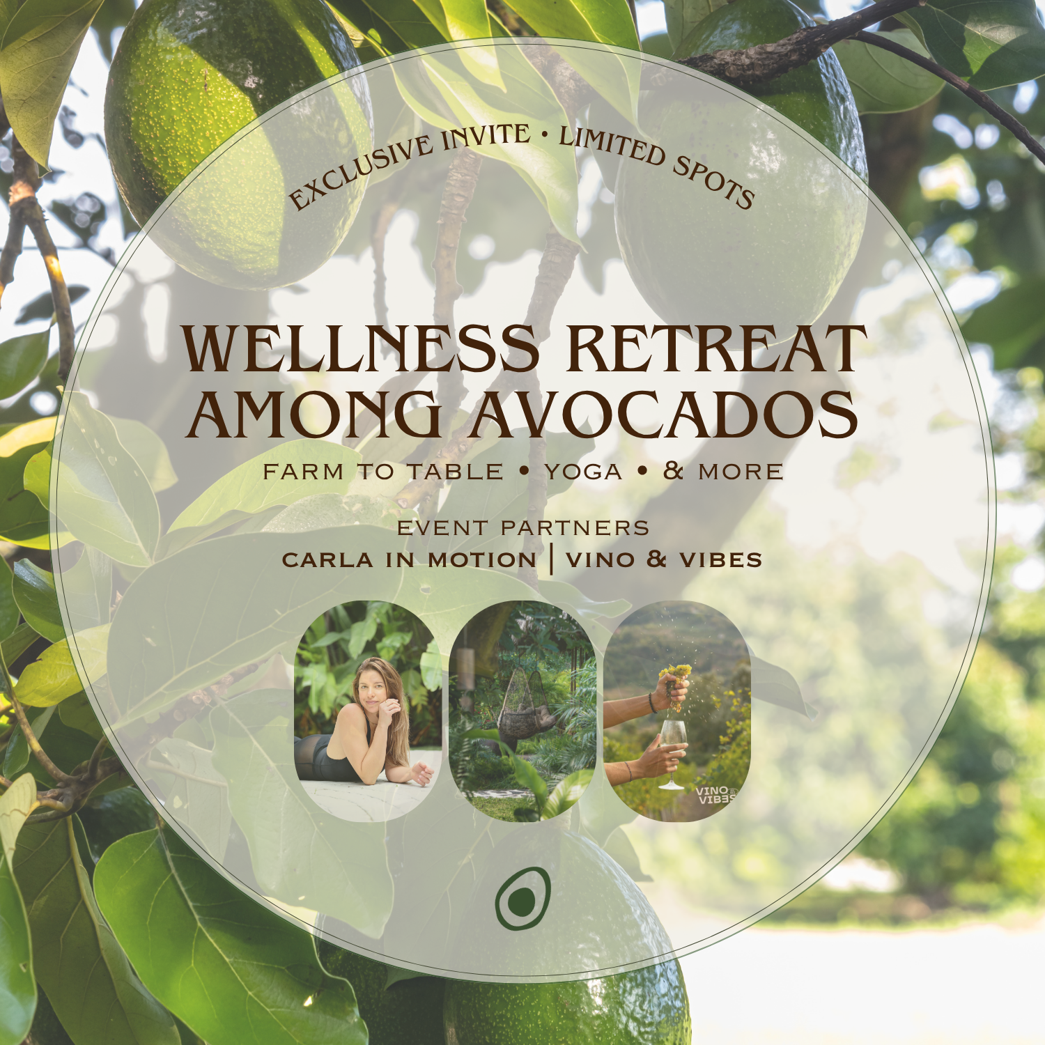 Entrance • Wellness Retreat: Among Avocados