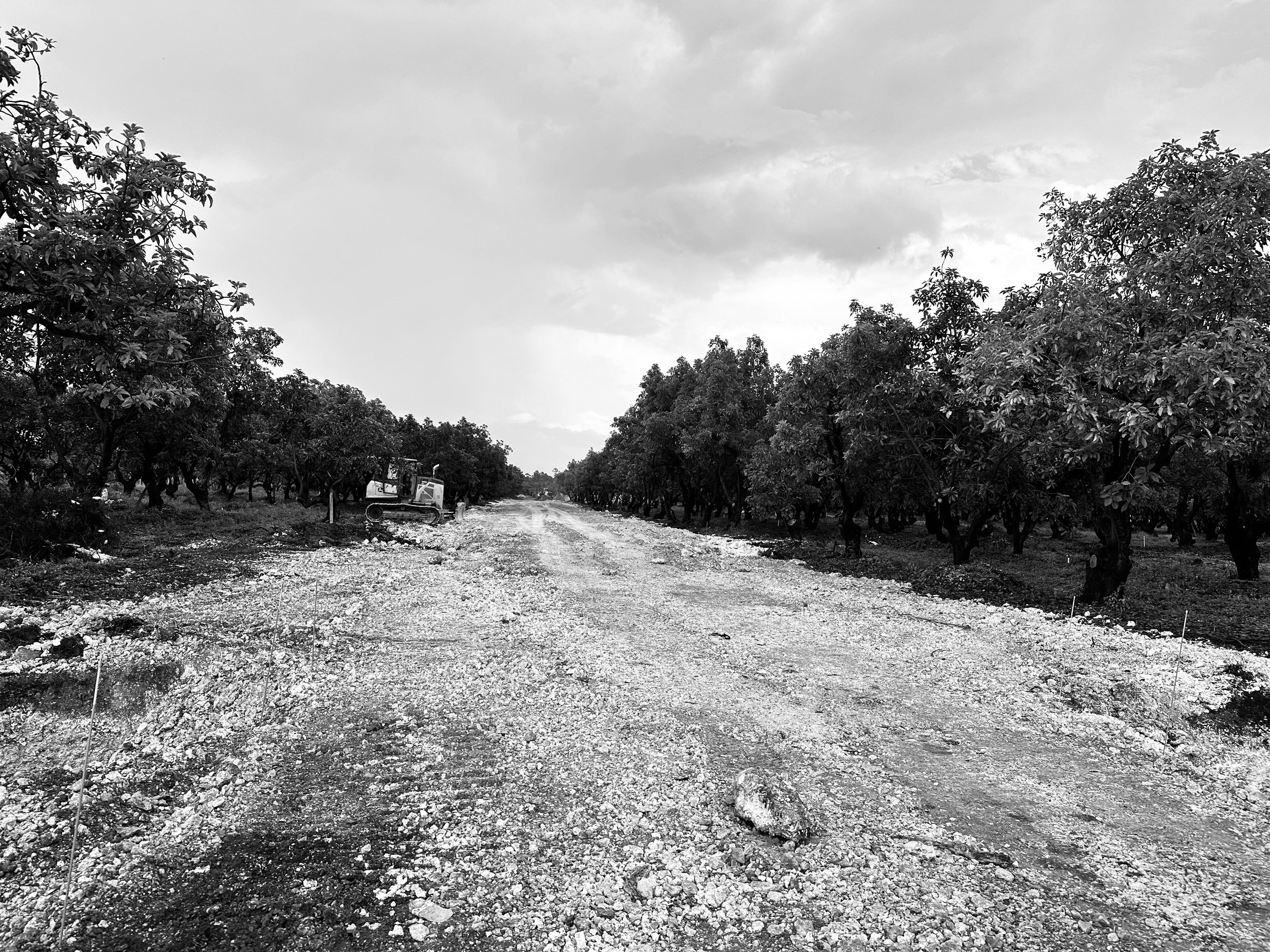 A dirt road lined with trees on both sides and a small excavator machine on the left side under cloudy skies.