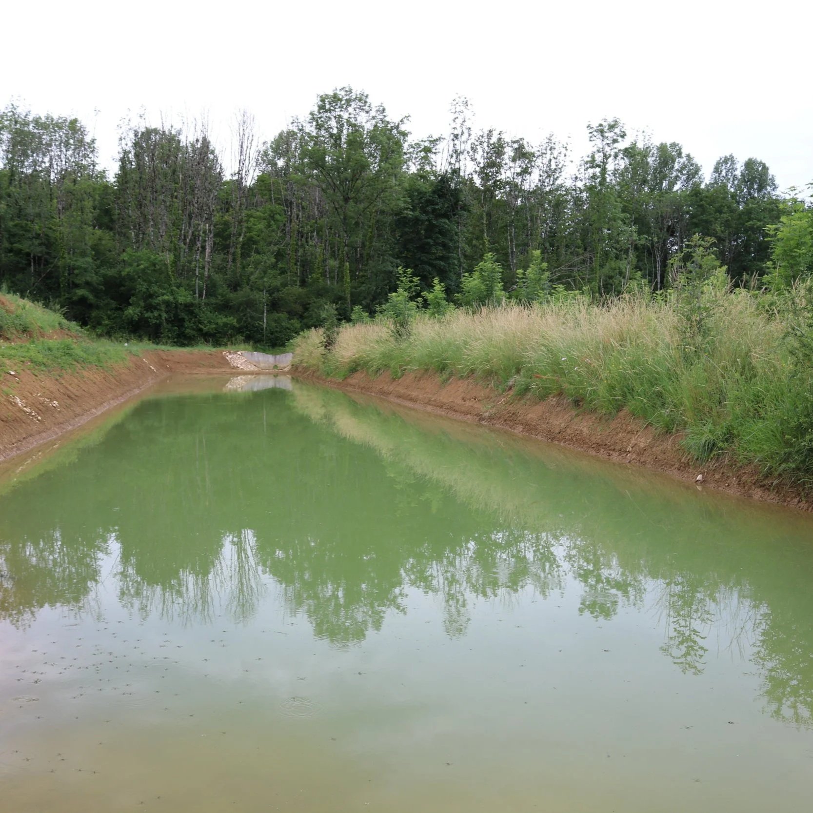 Boudreaux Detention Basin (CDBG)