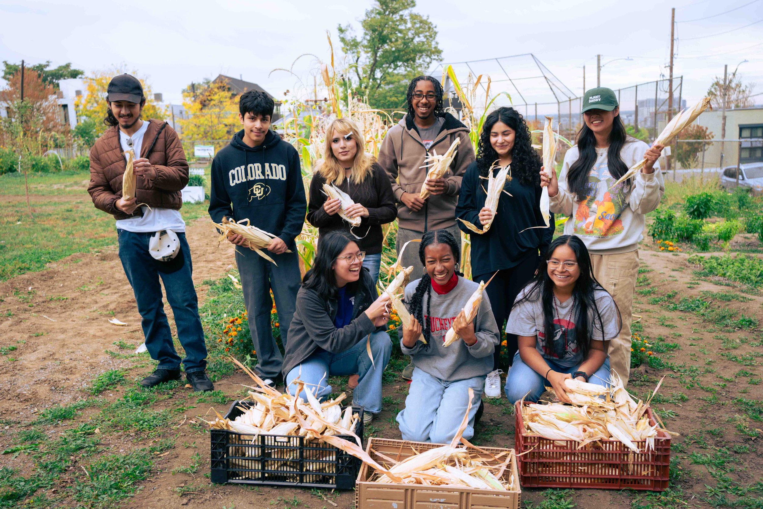 corn harvest-7.jpg