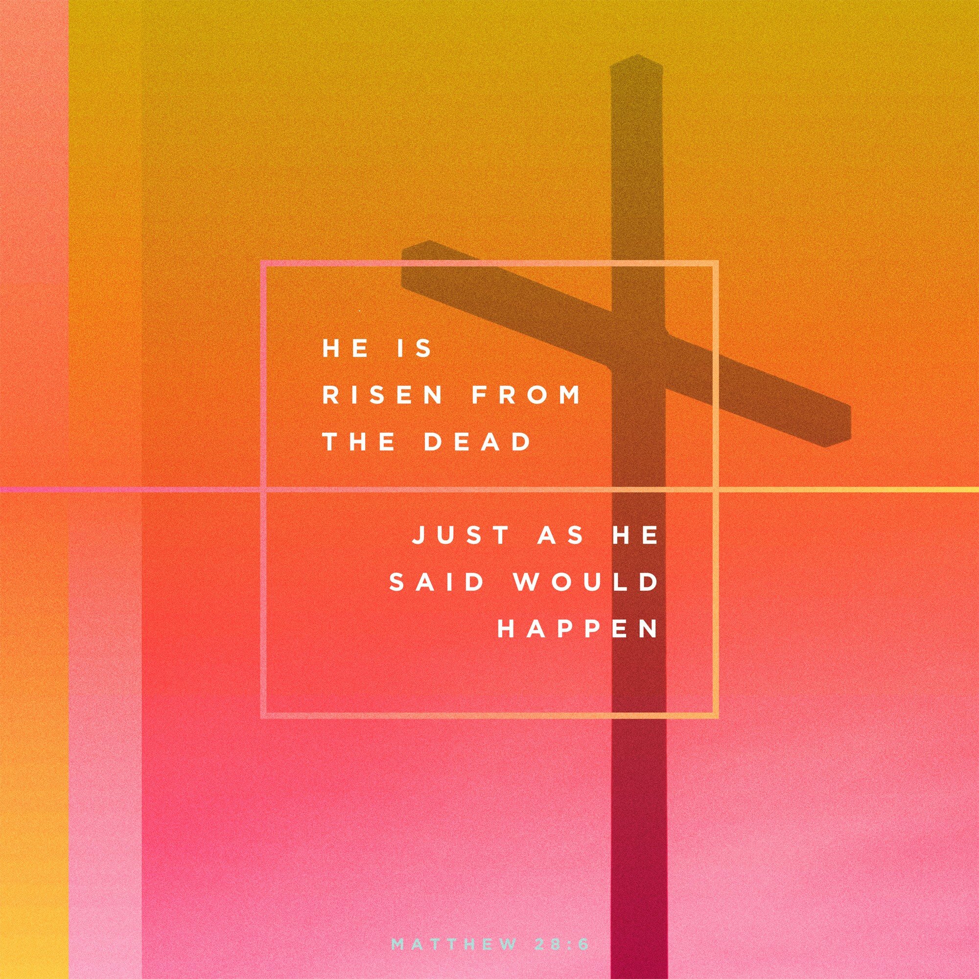 He is Risen! He is Risen indeed!
Today we celebrate the resurrection of a man who was dead on Friday, that is alive on Sunday. Church, join us in the joy!

Easter Sunday Worship 🧡
Sunday, March 31
8:00 am // Traditional Worship
9:00 am // Fellowship