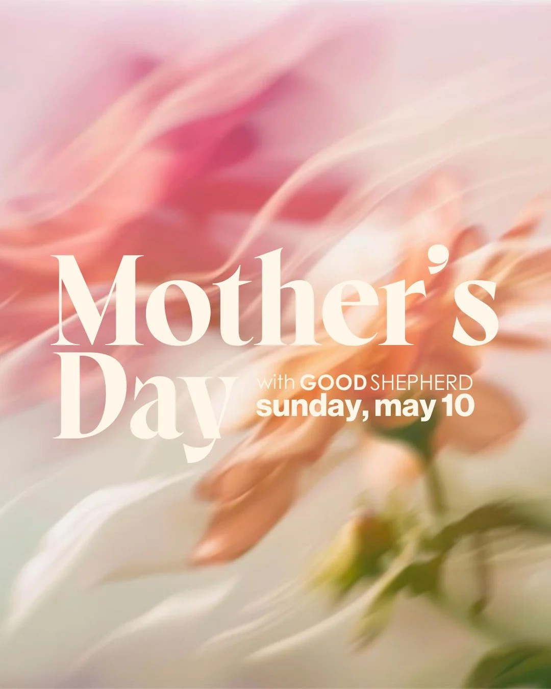 Moms. Stepmoms. Adoptive Moms. Foster Moms. Grandmas. Spiritual Moms. Single Moms. Moms in heaven we still carry with us. Moms still praying for the day they get to hold their baby. Every one of them shapes our family.

This Sunday is thoughtfully cu