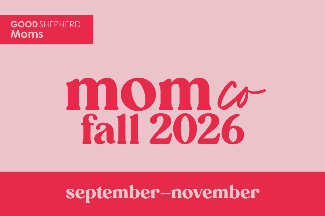 MomCo: Fall Semester Launch