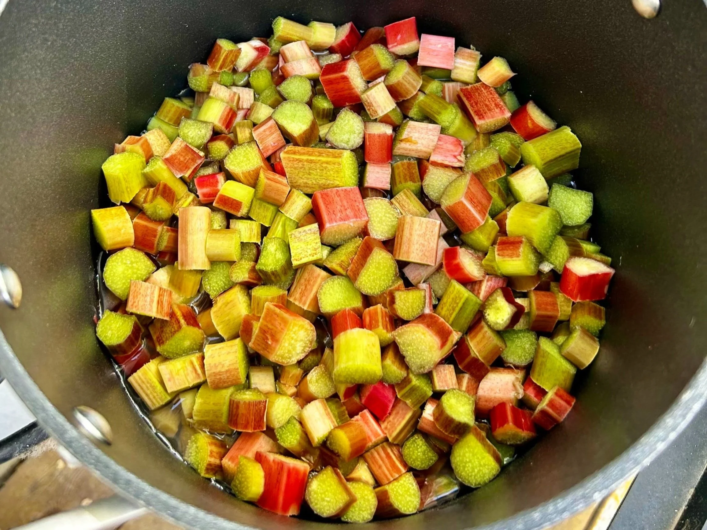 1.%2BRhubarb%2BGastrique.jpg