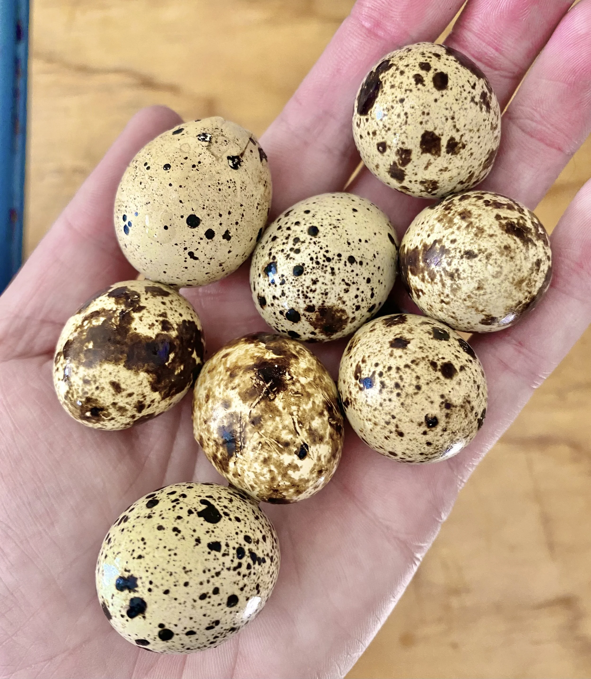 3. Quail eggs.jpeg