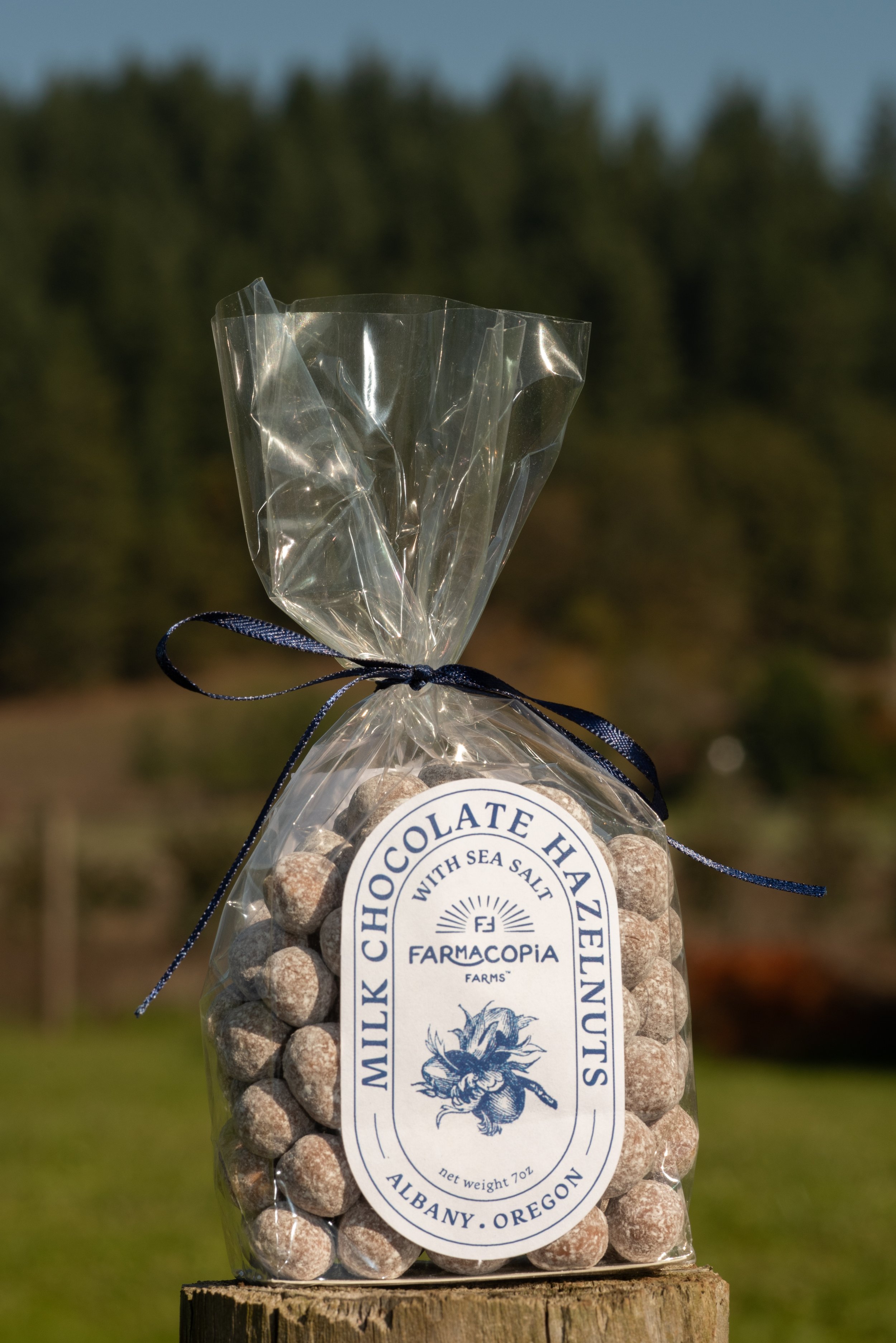 Milk Chocolate Sea Salt Hazelenuts