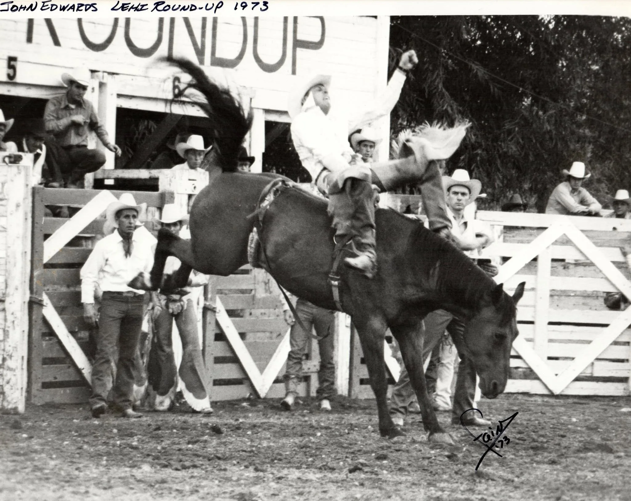 Lehi Round-up Rodeo, 1973.