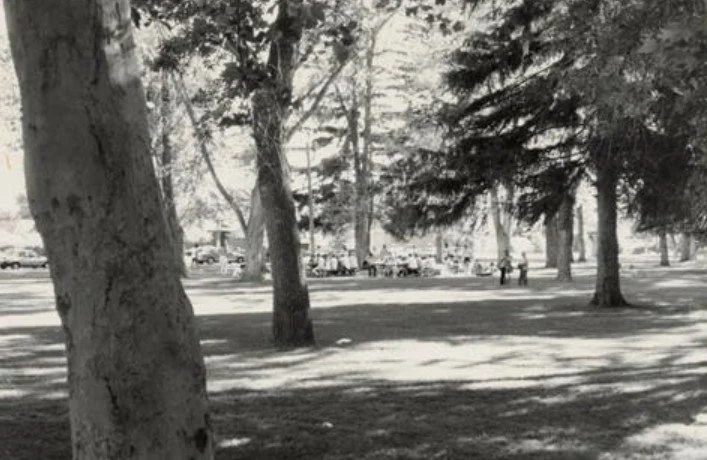 A black and white photograph of people having a celebration in Wines Park in 1988. Photo taken by Richard Van Wagoner.