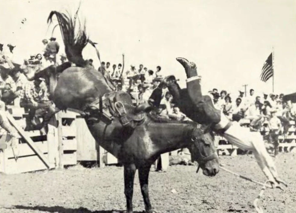 Creg Cabrai leaves a bronc during the 1960 Dixie Roundup, St. George, Utah, 1960