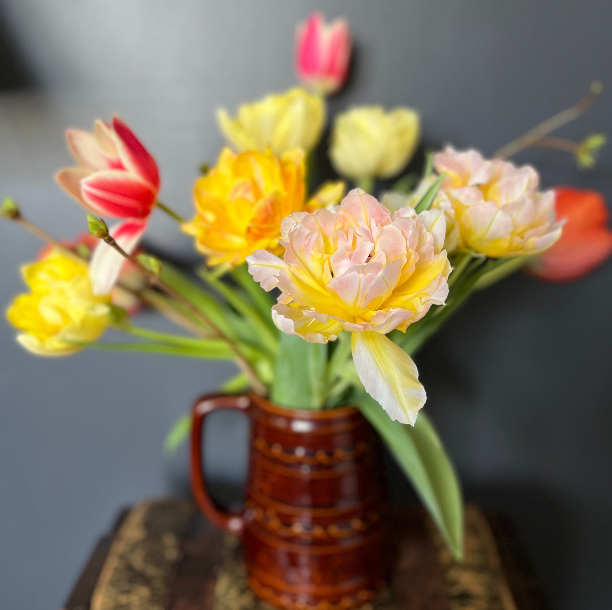 Winter Tulip Workshop Twilight Session