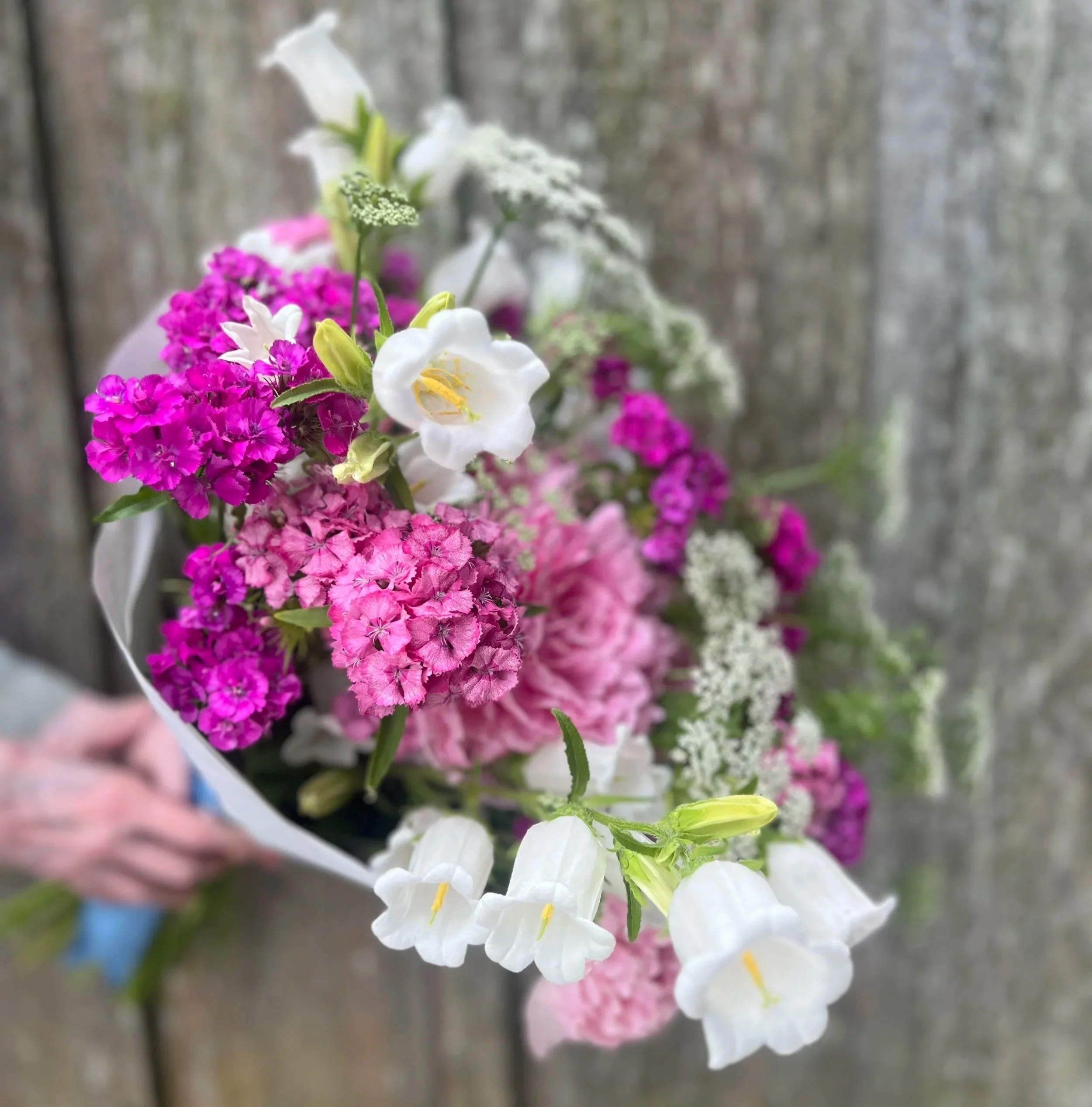 Spring Flower Subscriptions: True Spring