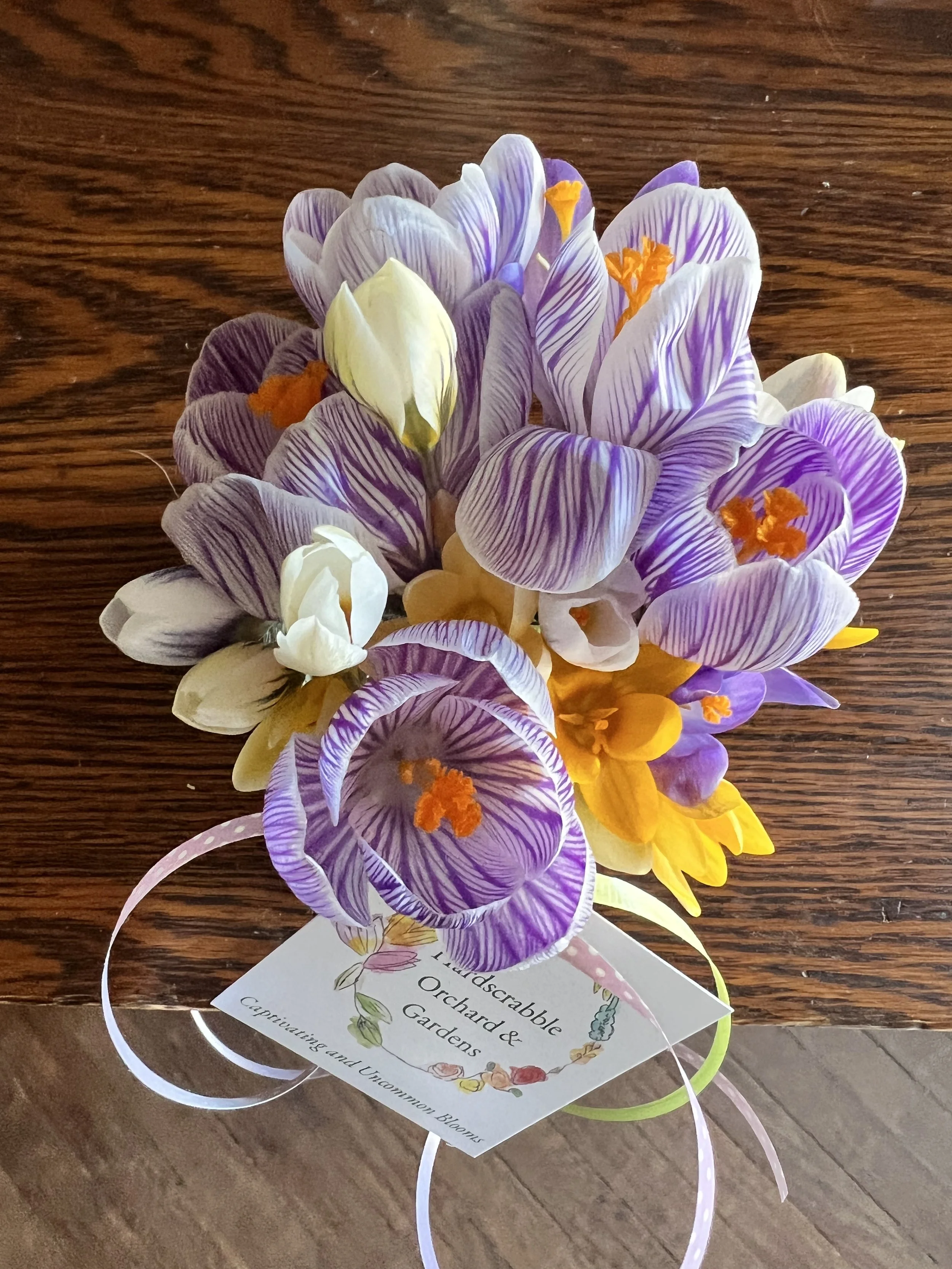 Mini Bulb Garden Workshop