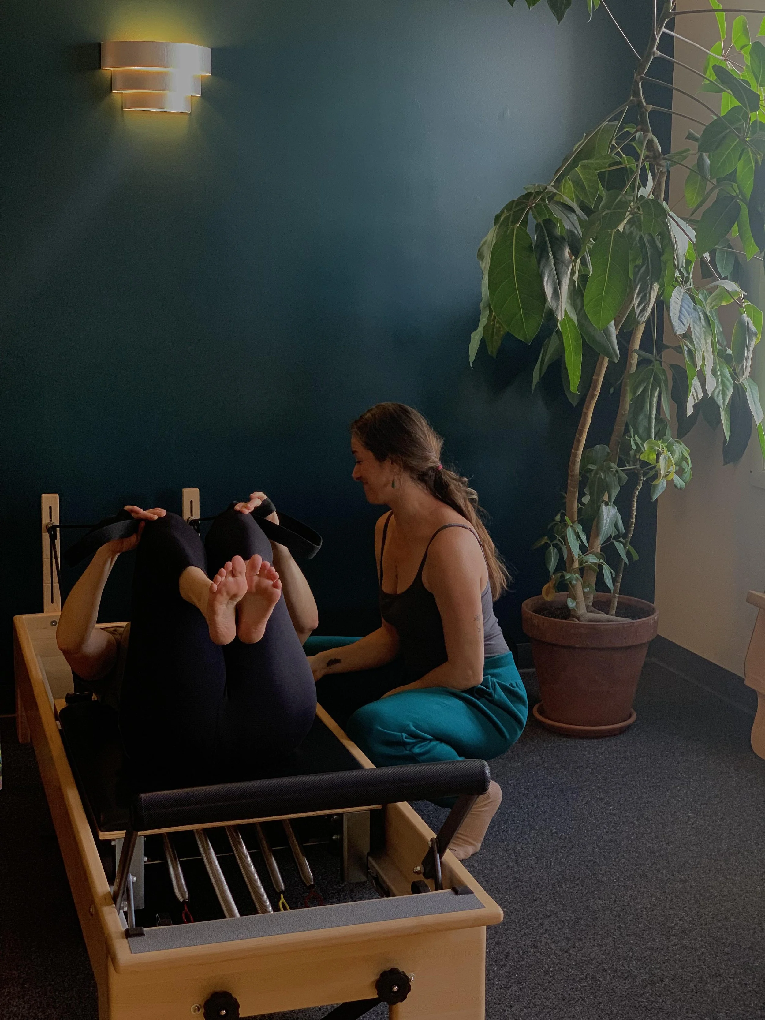 A pilates instructor assisting a person on a reformer machine with a large indoor plant in the background.