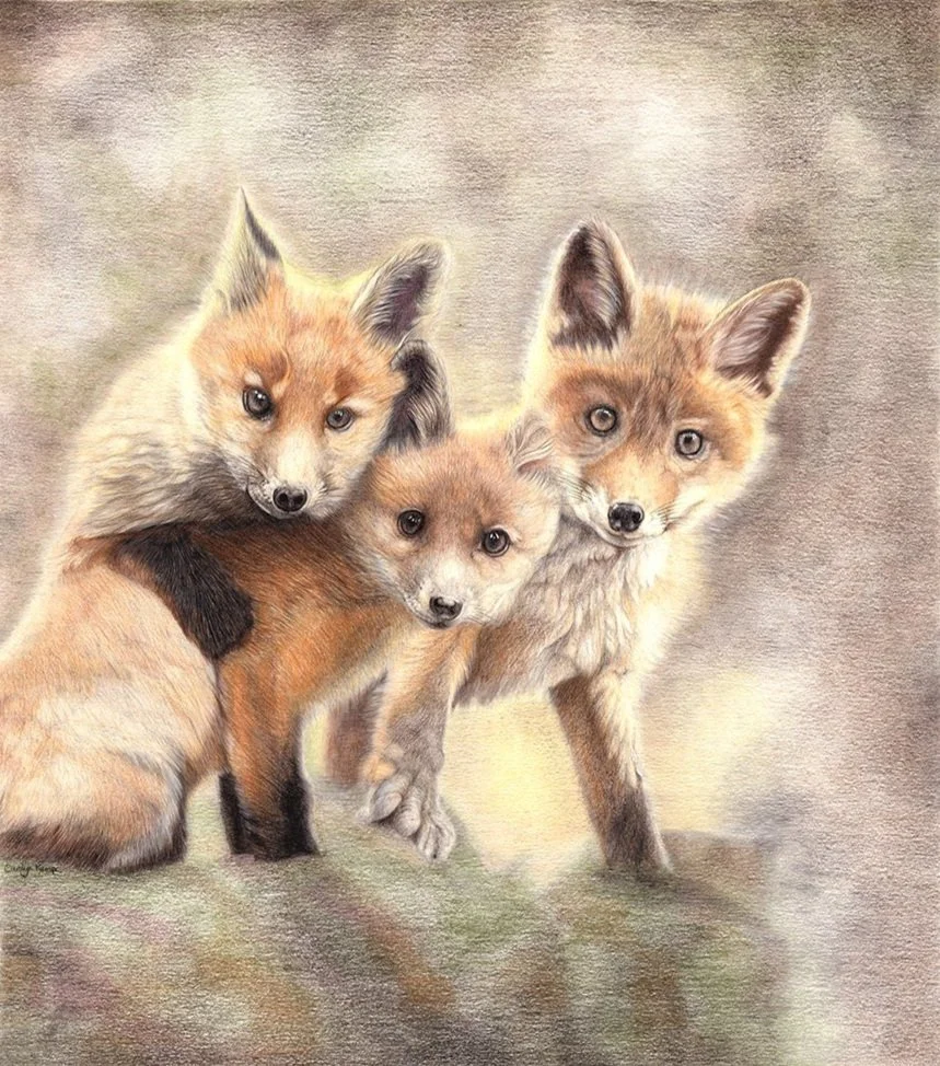 Fox Cubs Triple Trouble