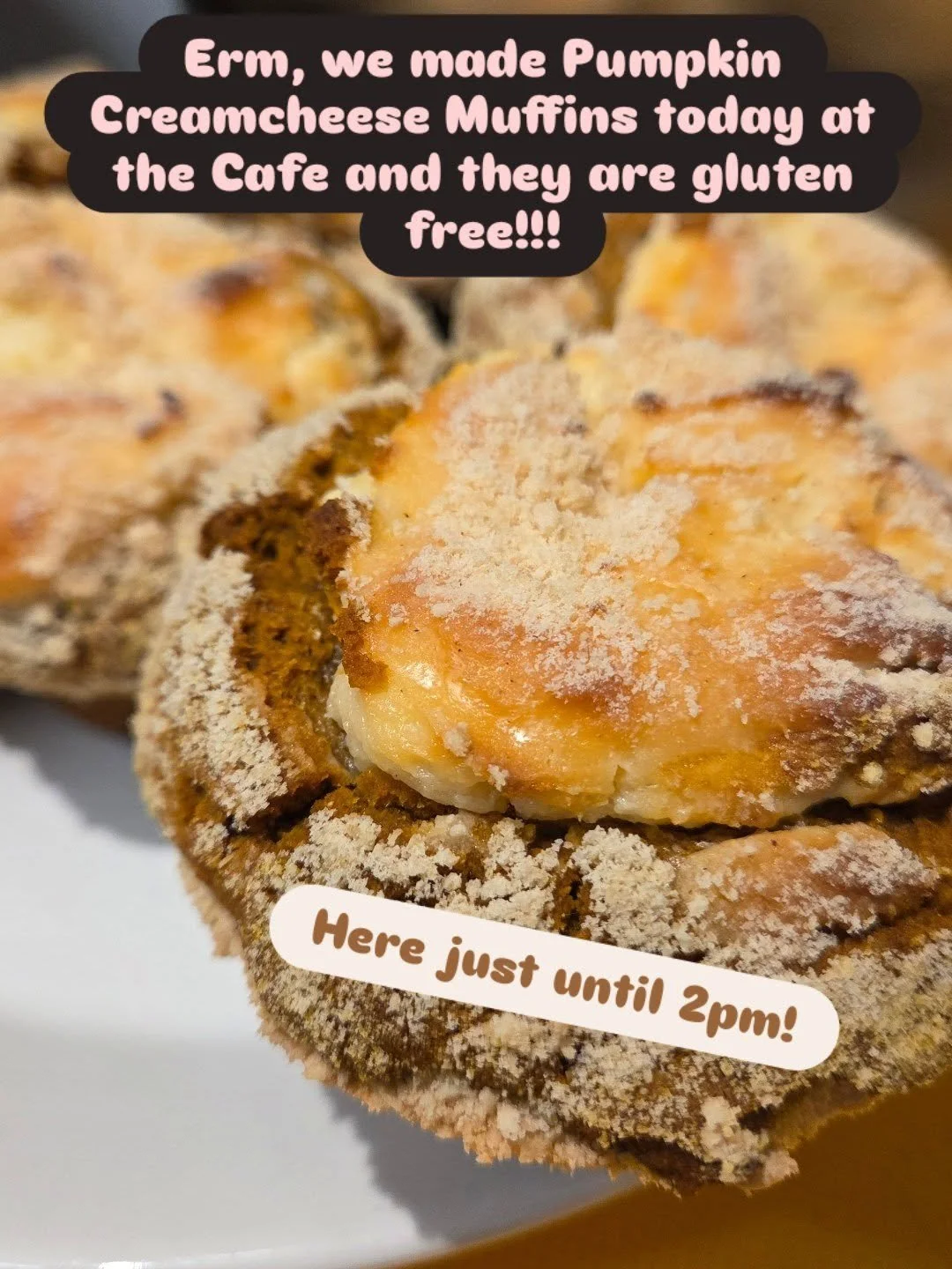 The Caf&eacute; is open today Oct 17th until 2pm! 
We'll also see you tomorrow at the Fleece and Fibre Fair from 10-4!