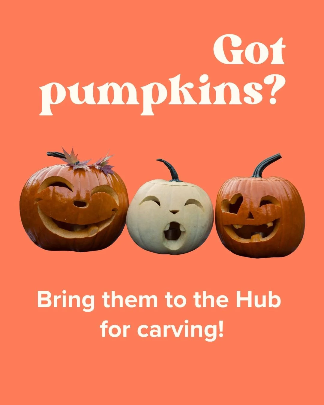 Got a spare pumpkin languishing in the garden? Bring it to the Hub so we can carve it! Drop it off Thursday, or bring it to the café when you come for breakfast on Friday to have some fun carving it. Bonus points if you bring a friend.
Cafe h