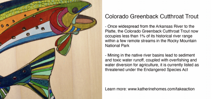 Screenshot 2026-02-06 at 7.41.12 PM.png