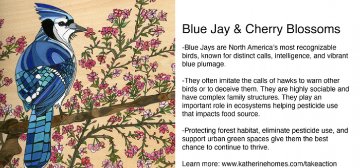 Screenshot 2026-02-06 at 7.41.56 PM.png