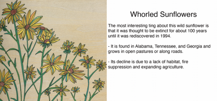 Screenshot 2026-02-06 at 7.44.14 PM.png