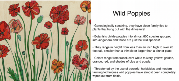 Screenshot 2026-02-06 at 7.44.27 PM.png