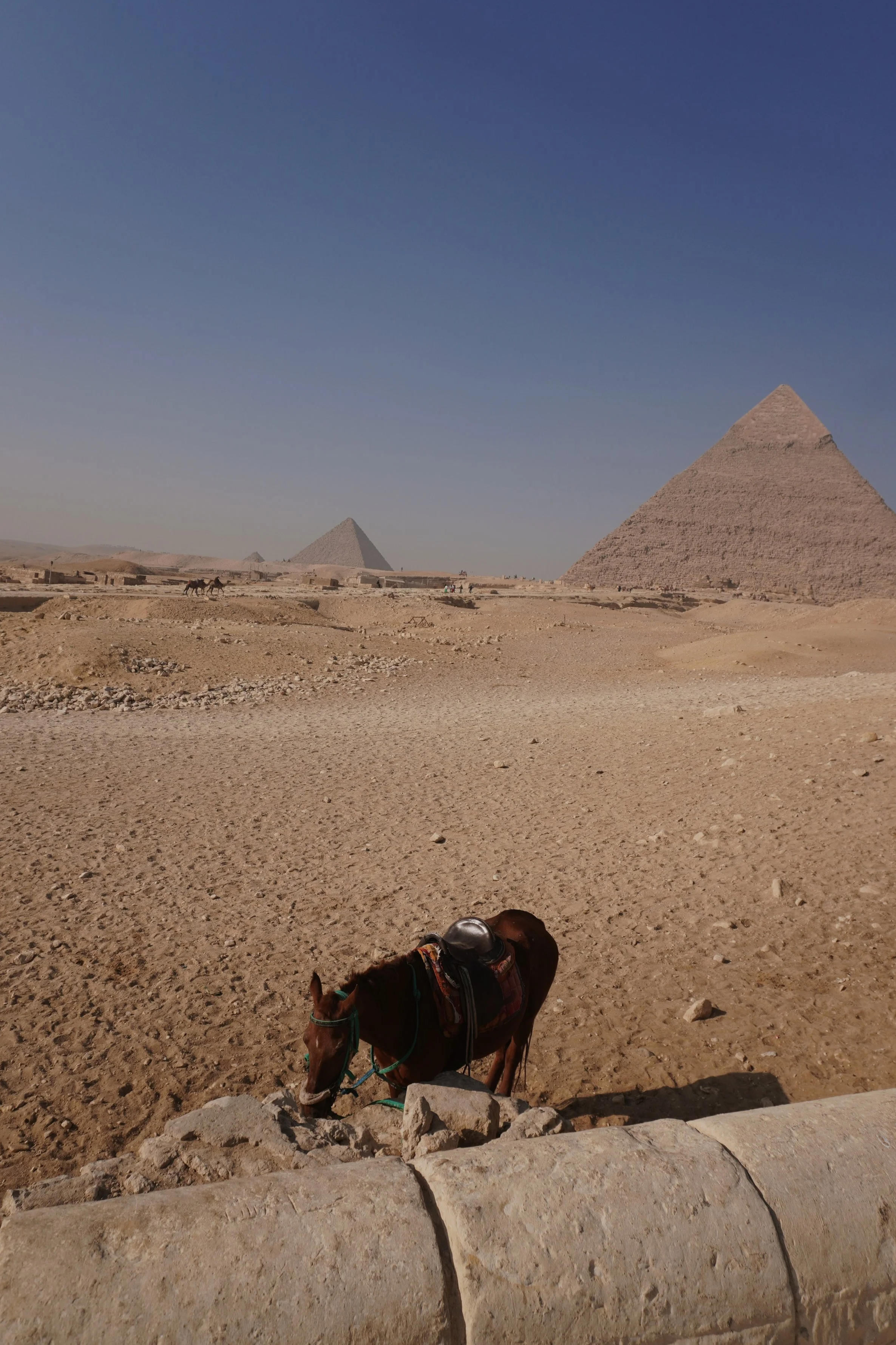 Volcanos, Camels, and Ancient Civilization