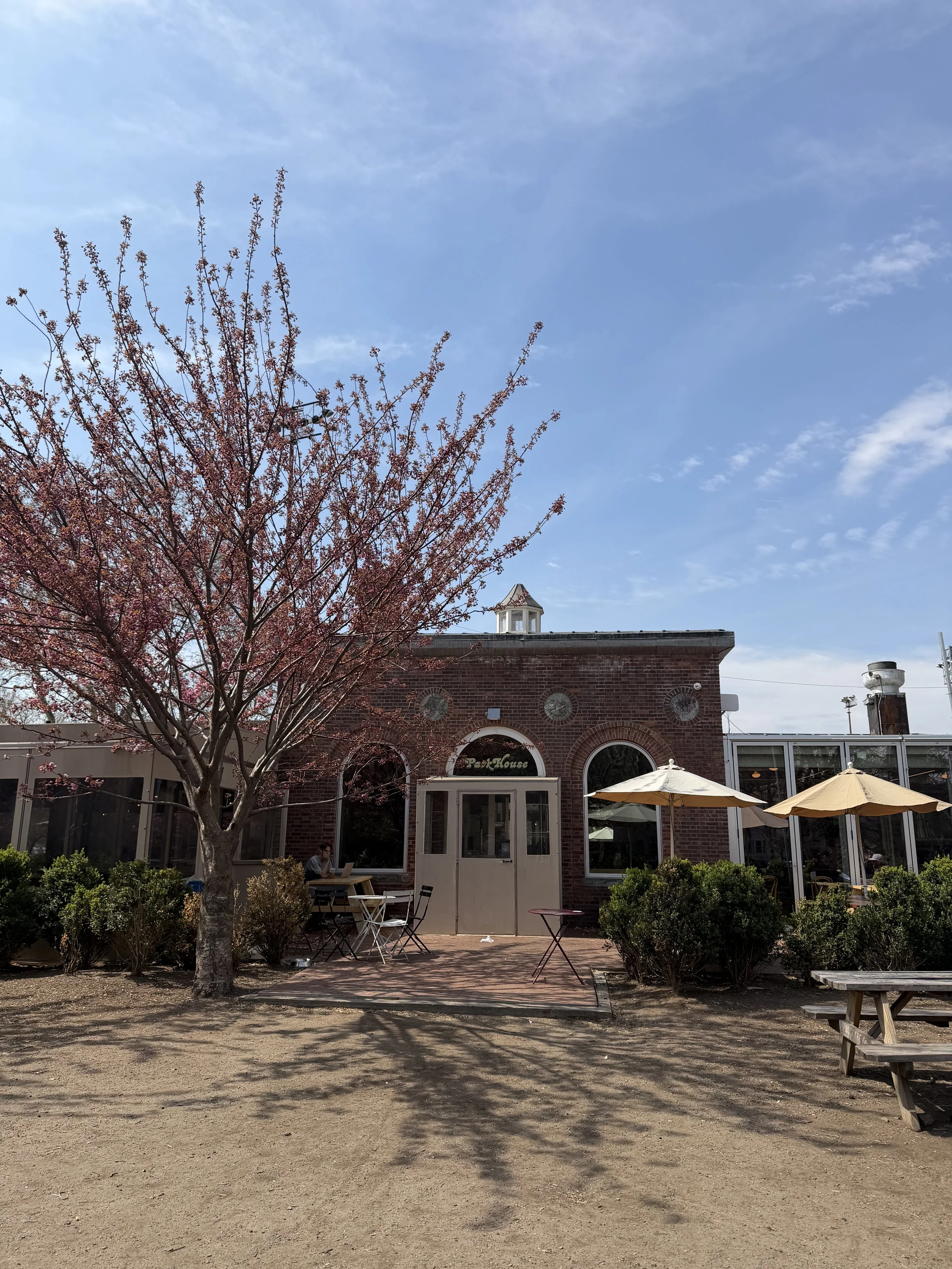 Morning Mindfulness at McCarren Parkhouse