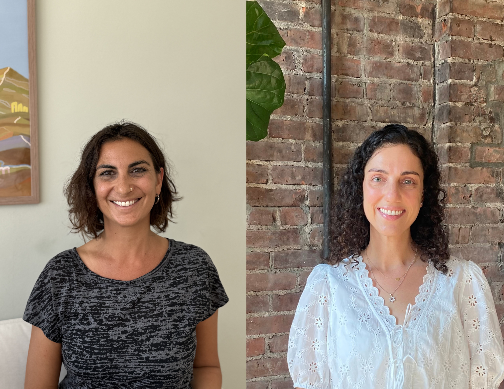 Burnout Cohort: Nervous System Reset