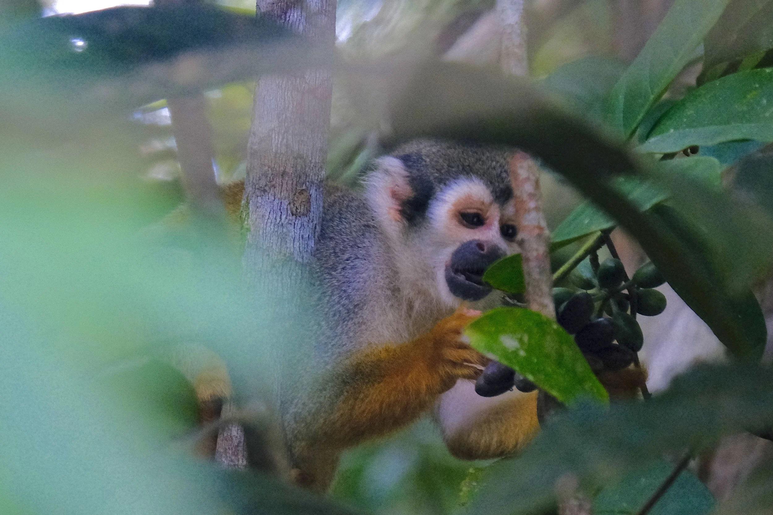 Weixin Image_20250204140617.jpg