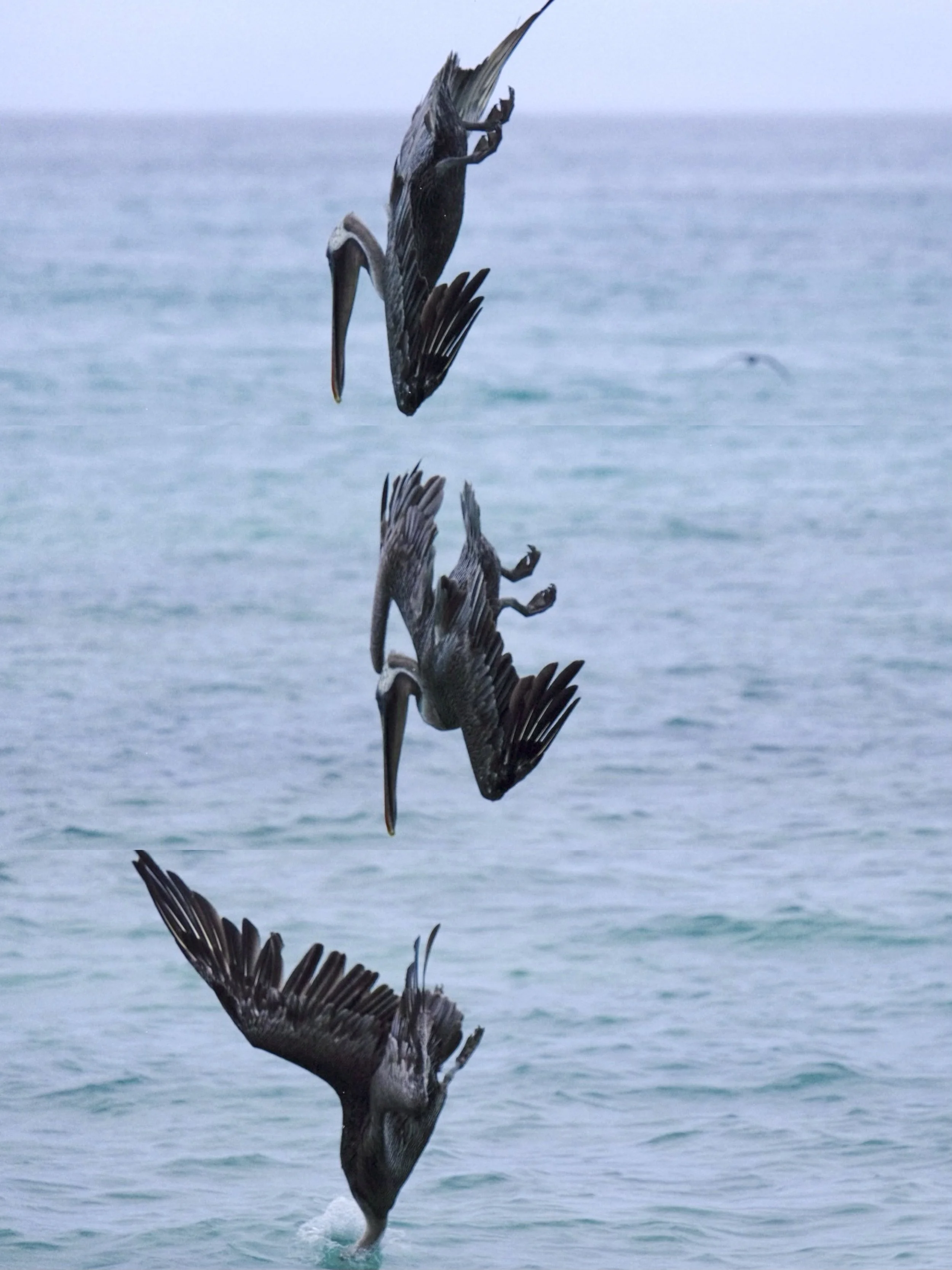 Weixin Image_20250204134739.jpg