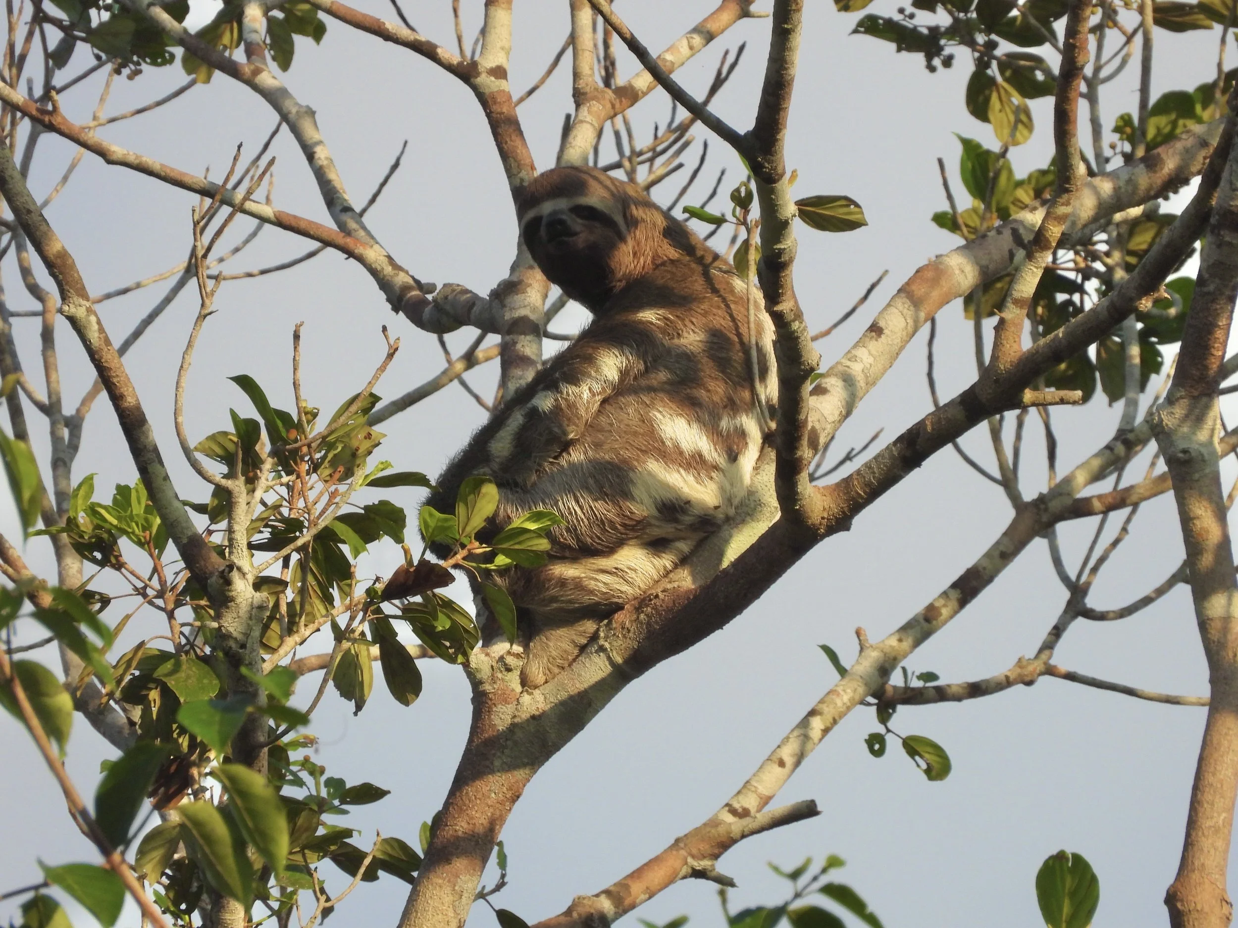 Weixin Image_20250204142444.jpg