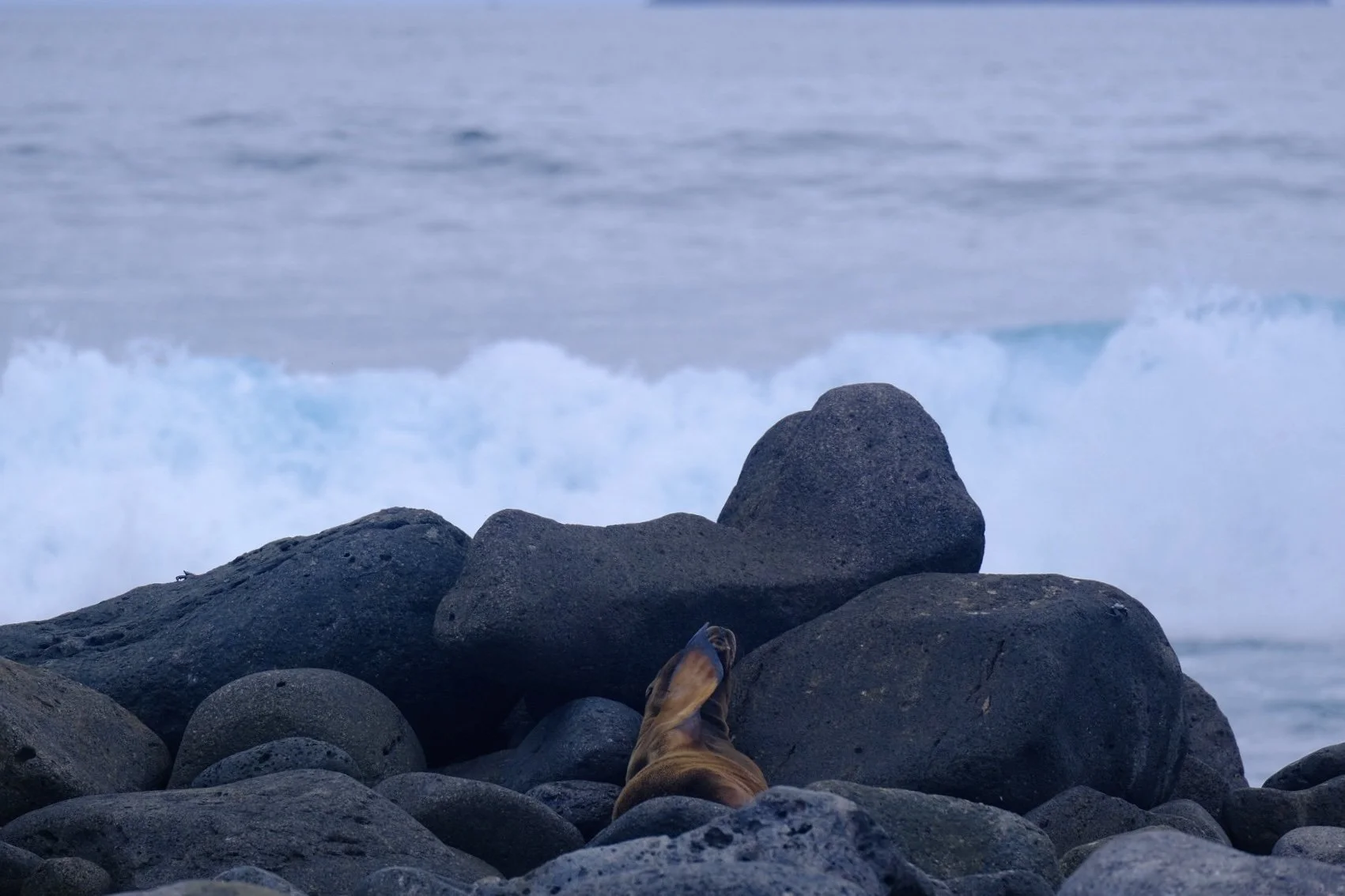 Weixin Image_20250204145914.jpg