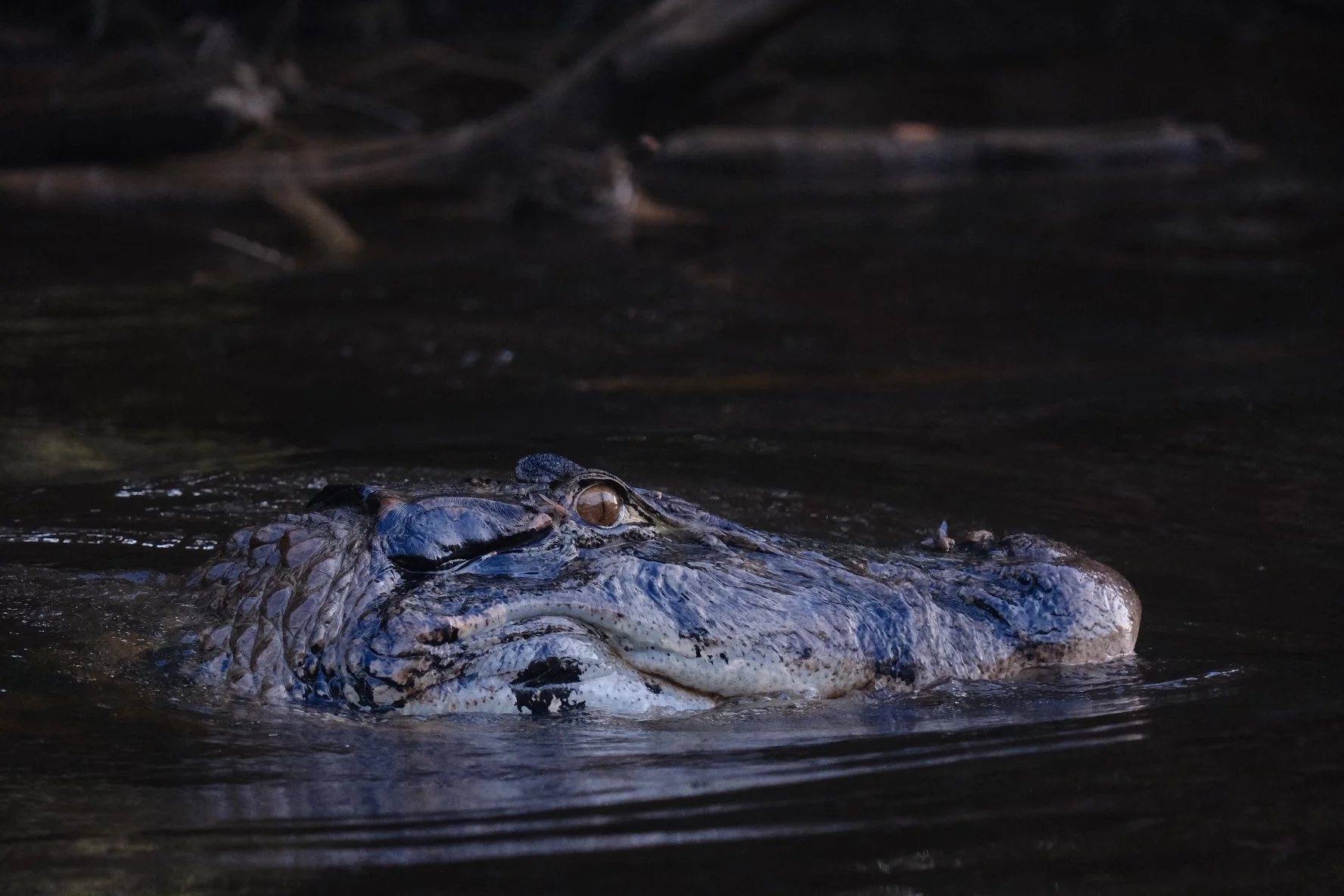 Weixin Image_20250204142601.jpg