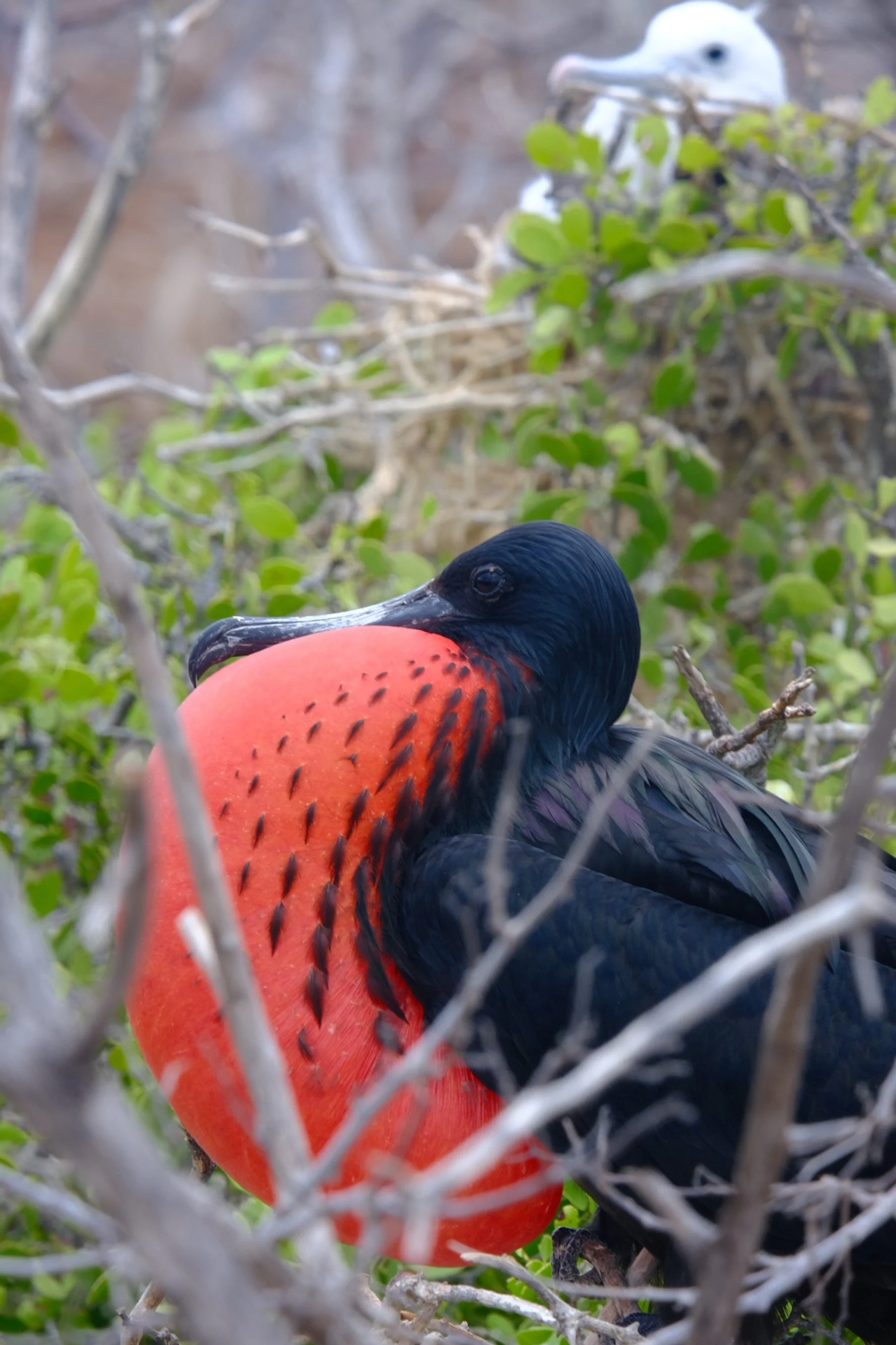 Weixin Image_20250204151739.jpg