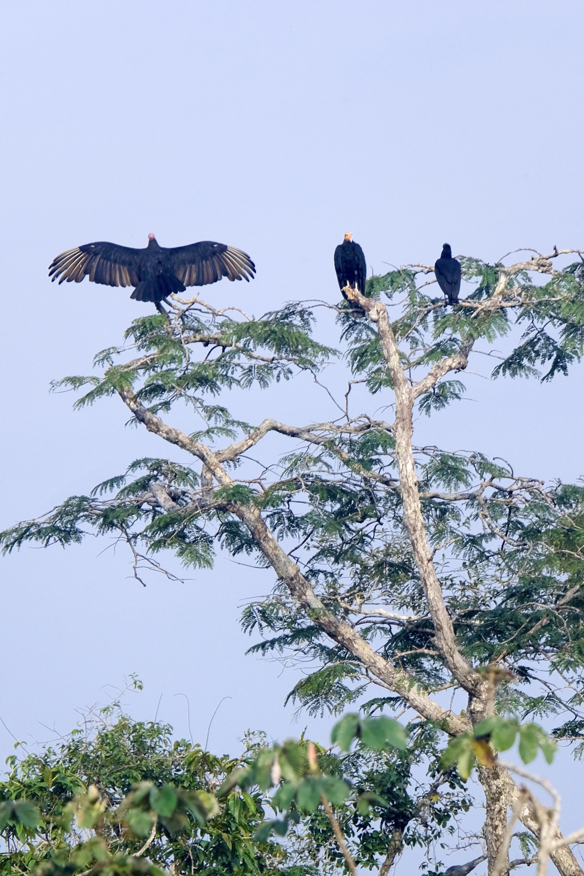 Weixin Image_20250204143616.jpg