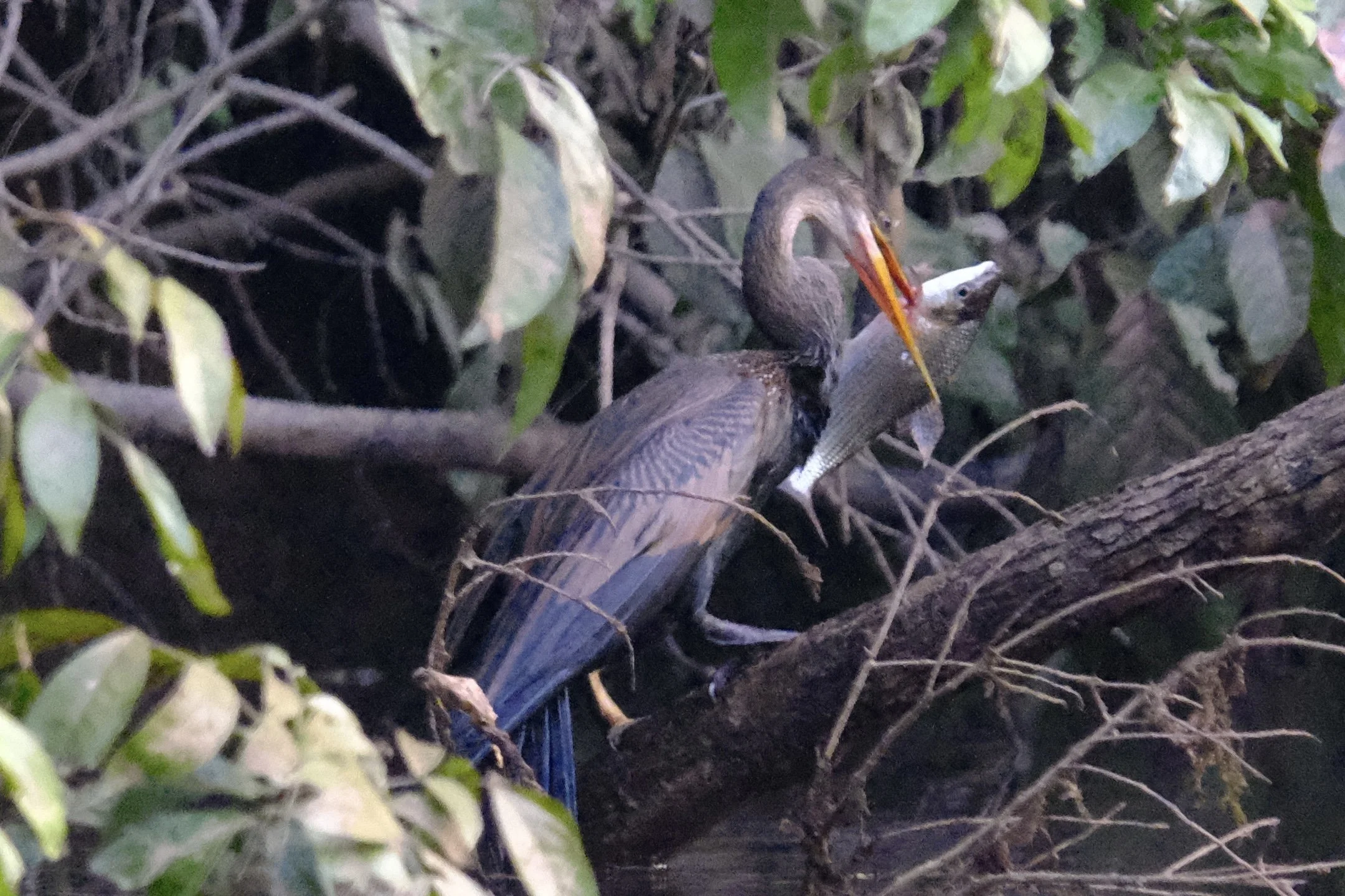 Weixin Image_20250204140952.jpg