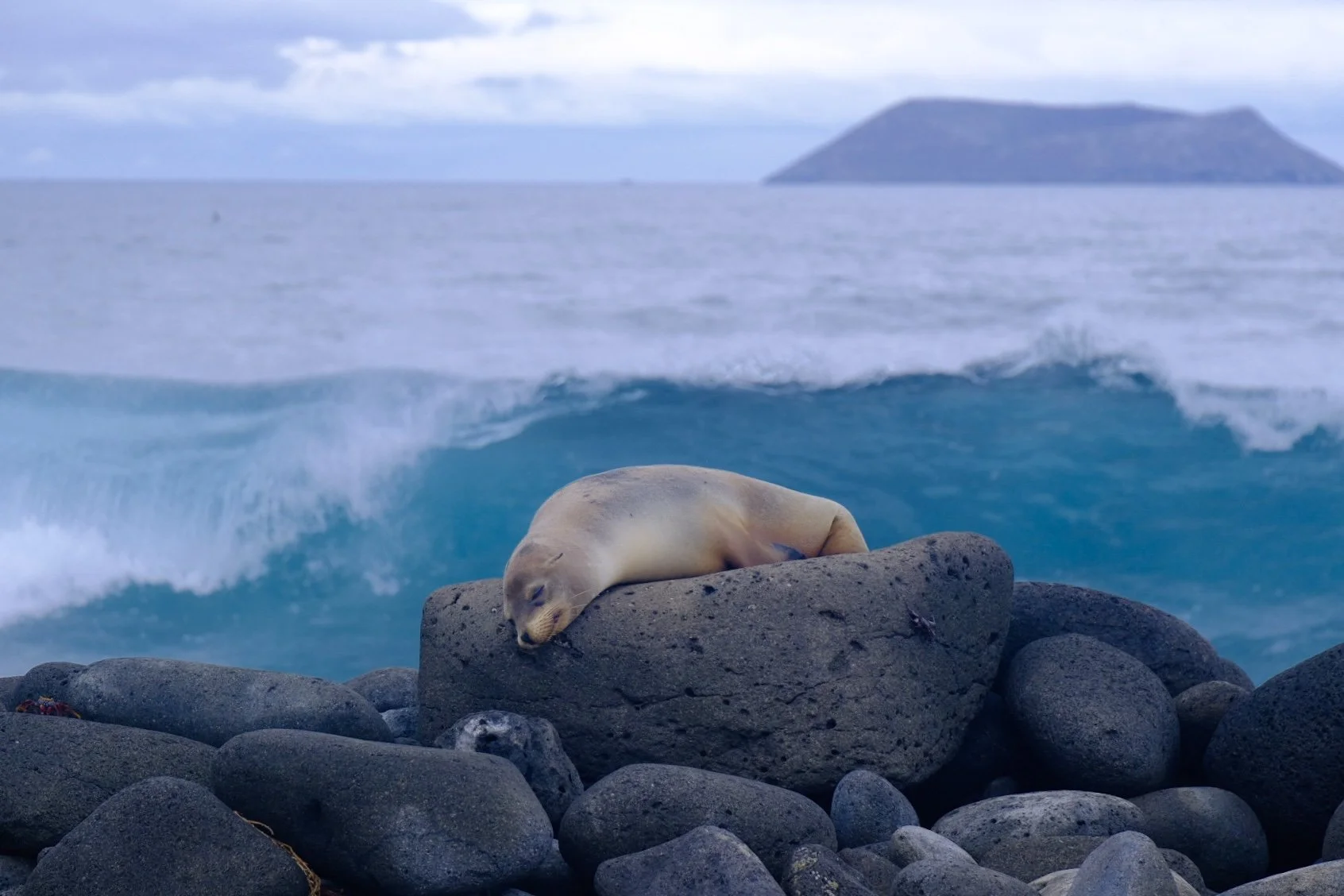 Weixin Image_20250204145904.jpg