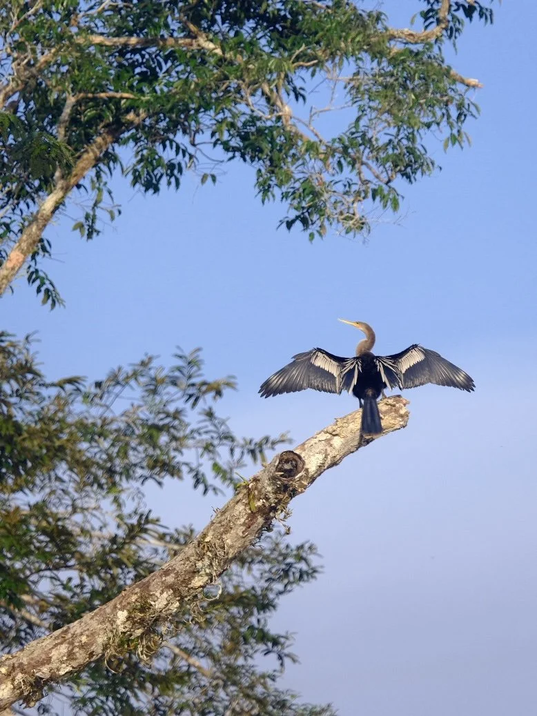 Weixin Image_20250204143628.jpg