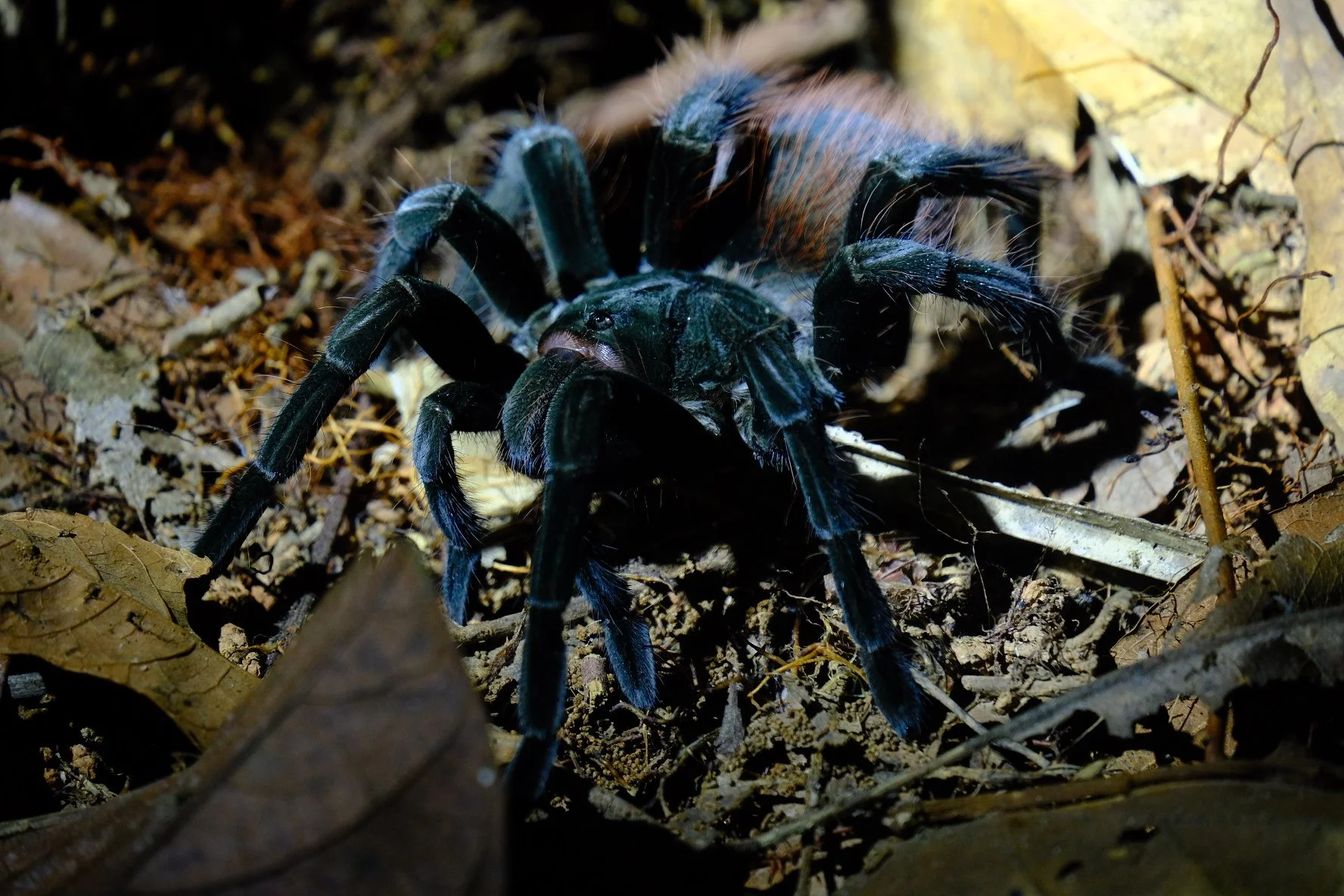 Weixin Image_20250204144711.jpg