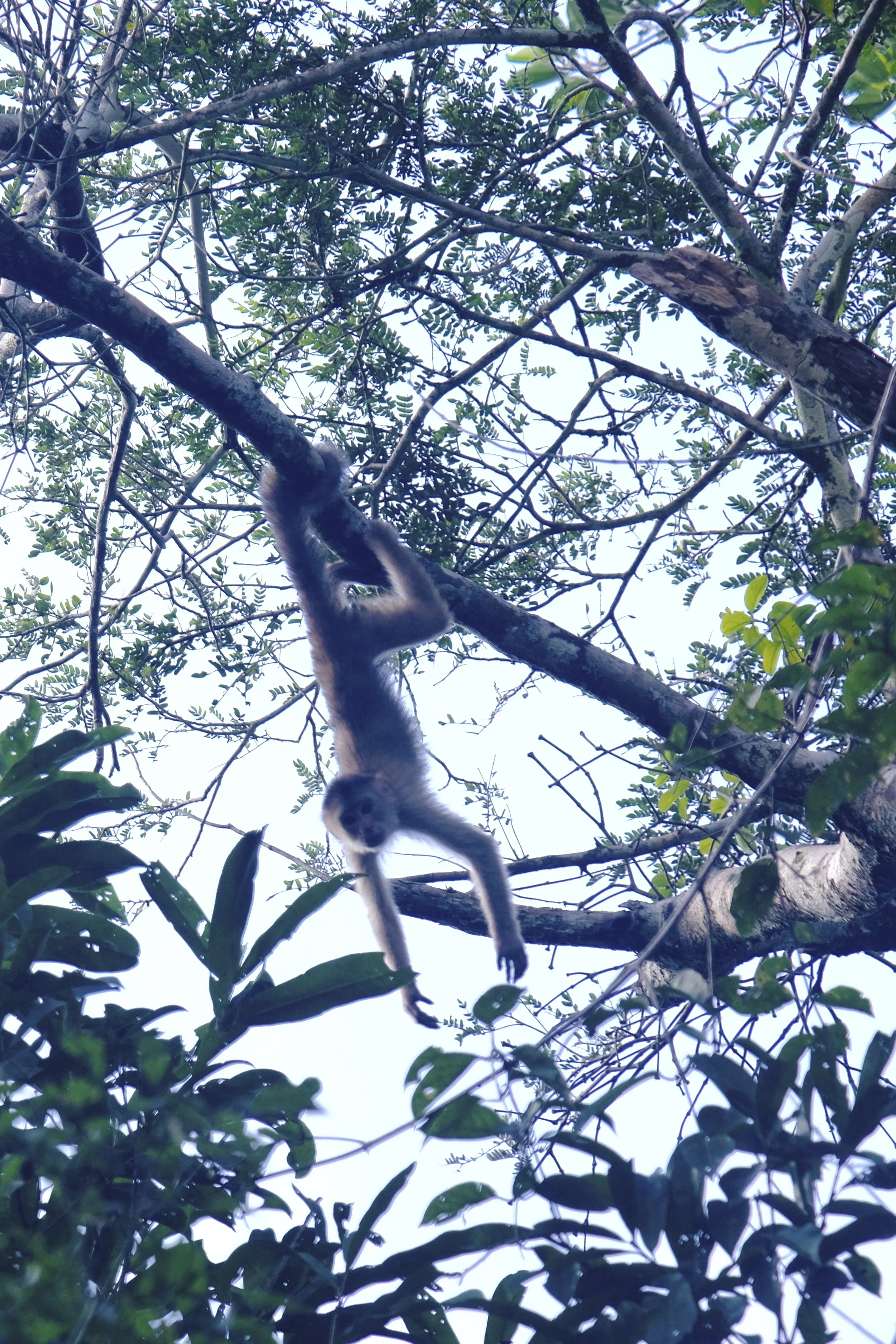 Weixin Image_20250204143633.jpg