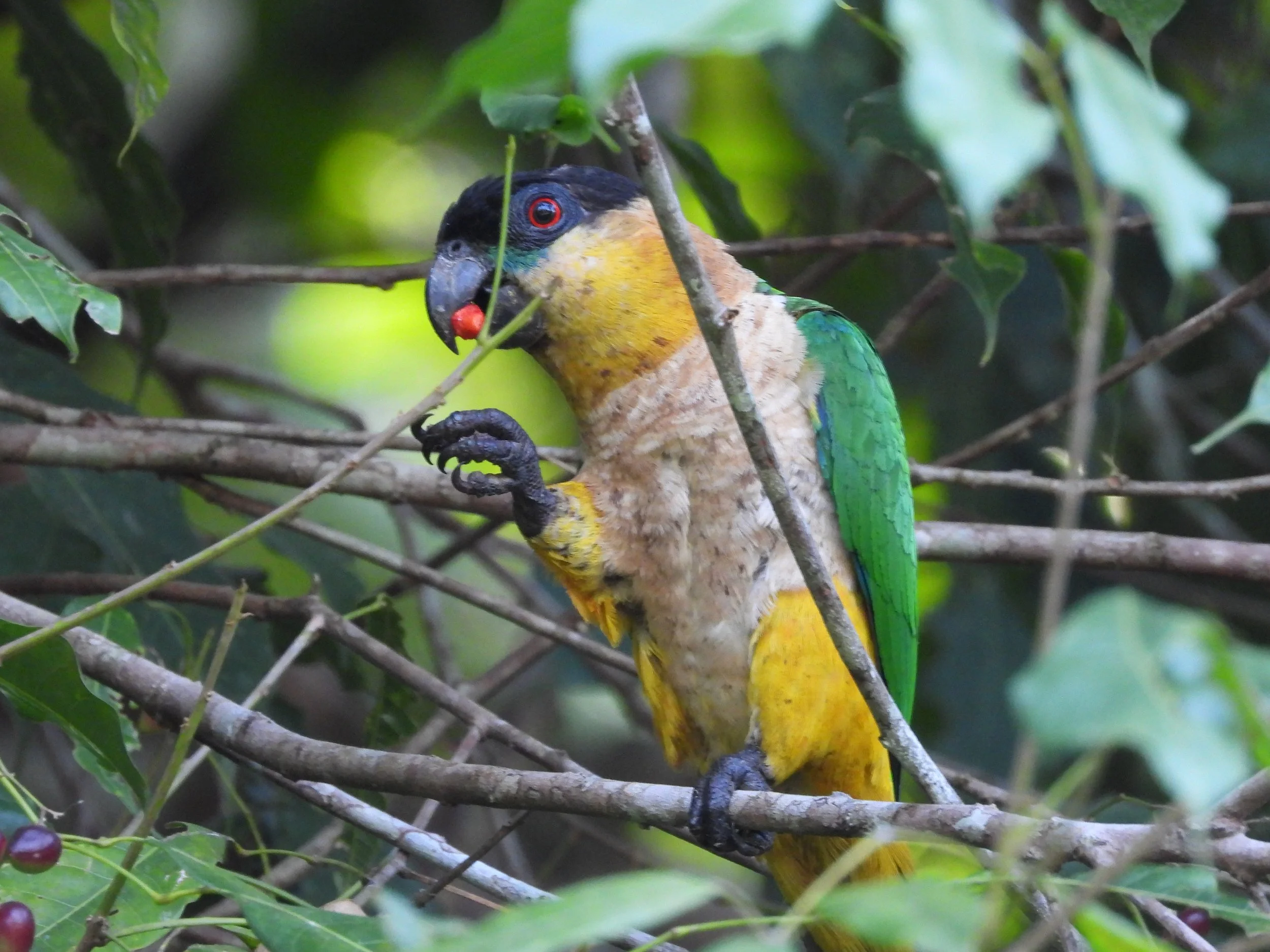 Weixin Image_20250204140706.jpg