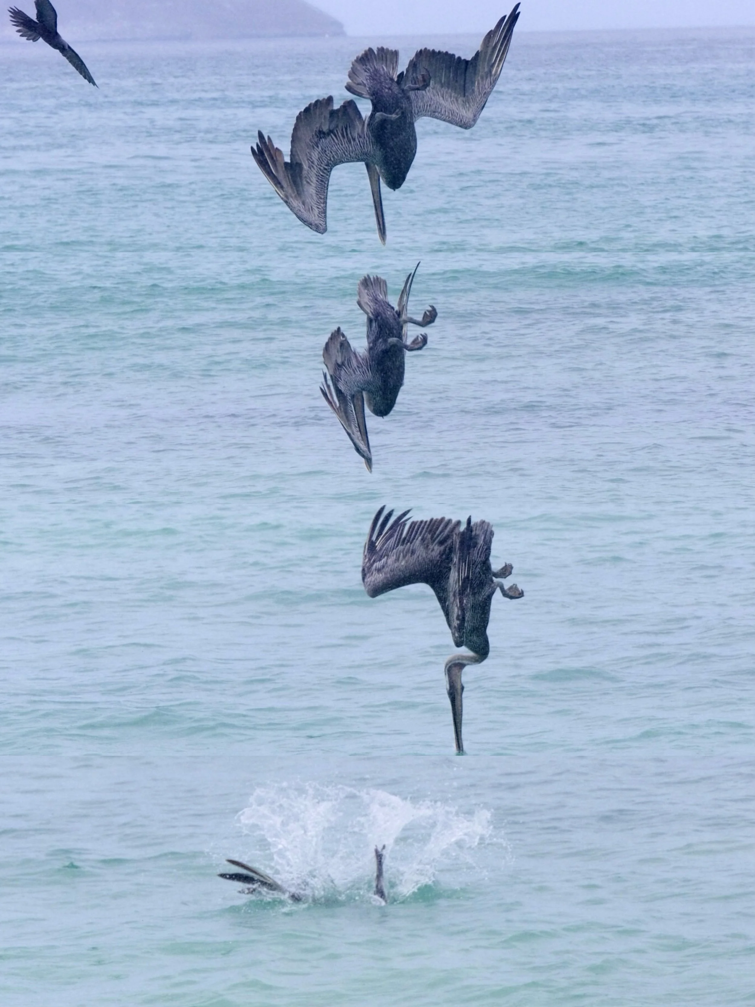 Weixin Image_20250204134733.jpg