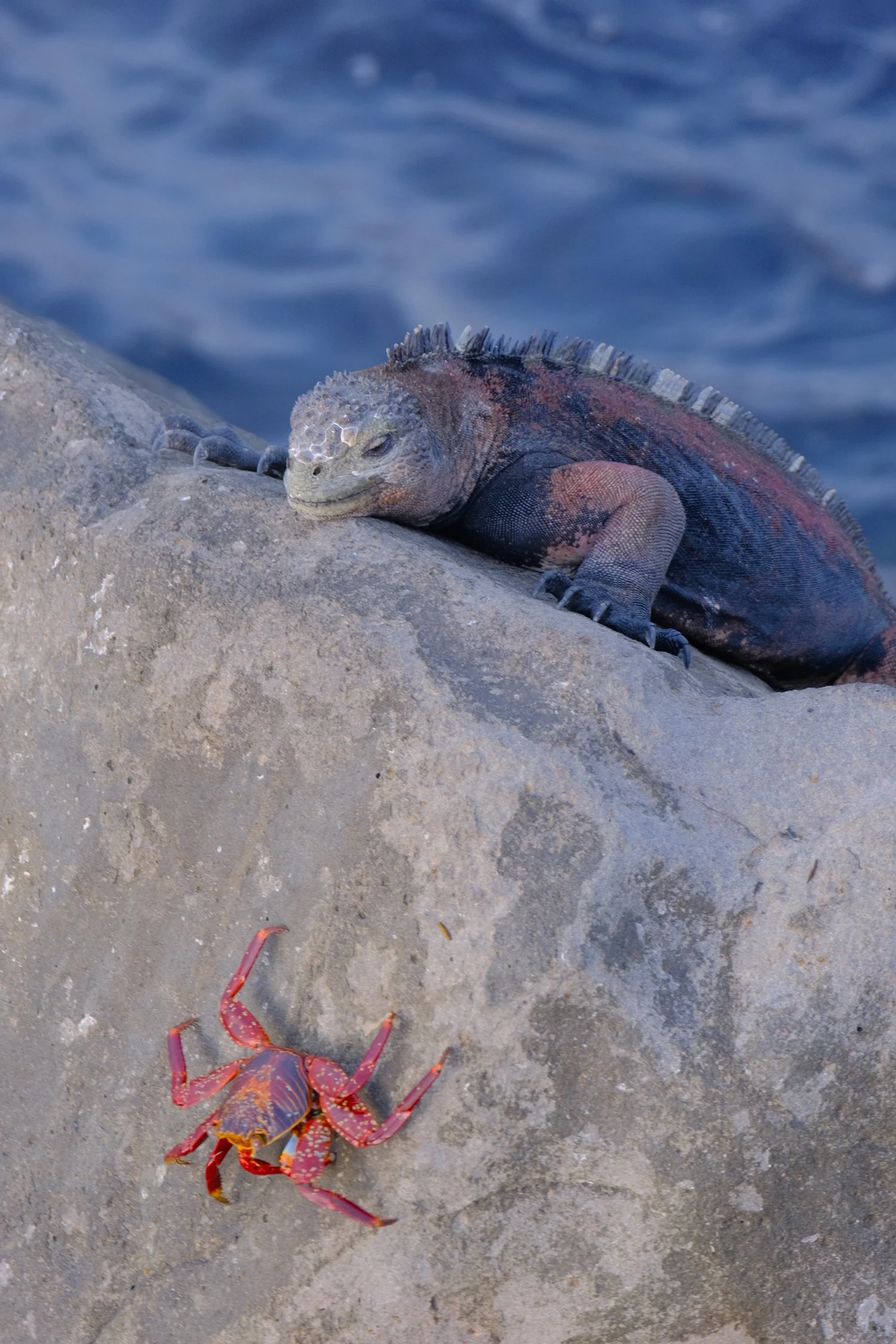 Weixin Image_20250204145946.jpg