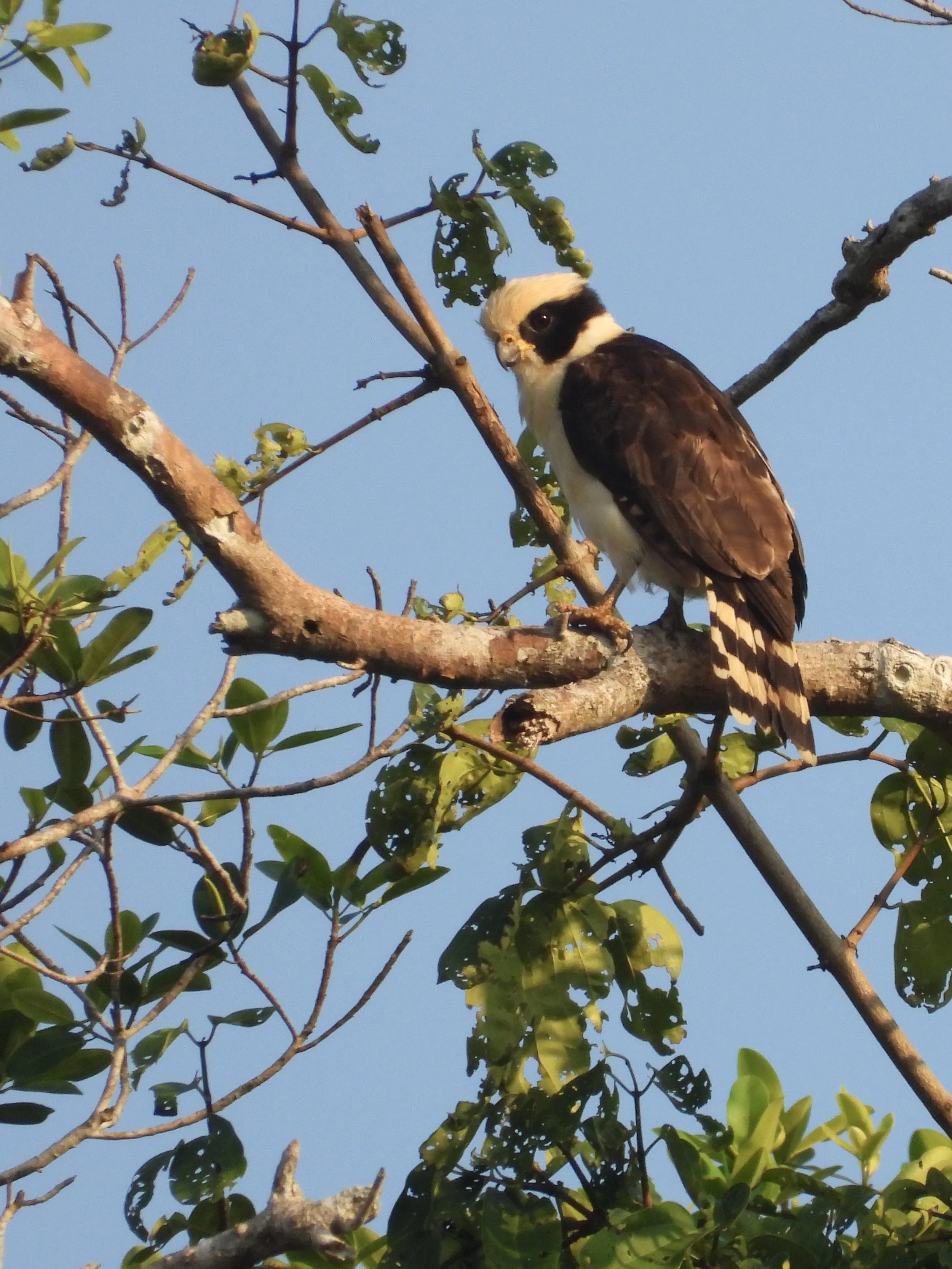 Weixin Image_20250204143622.jpg