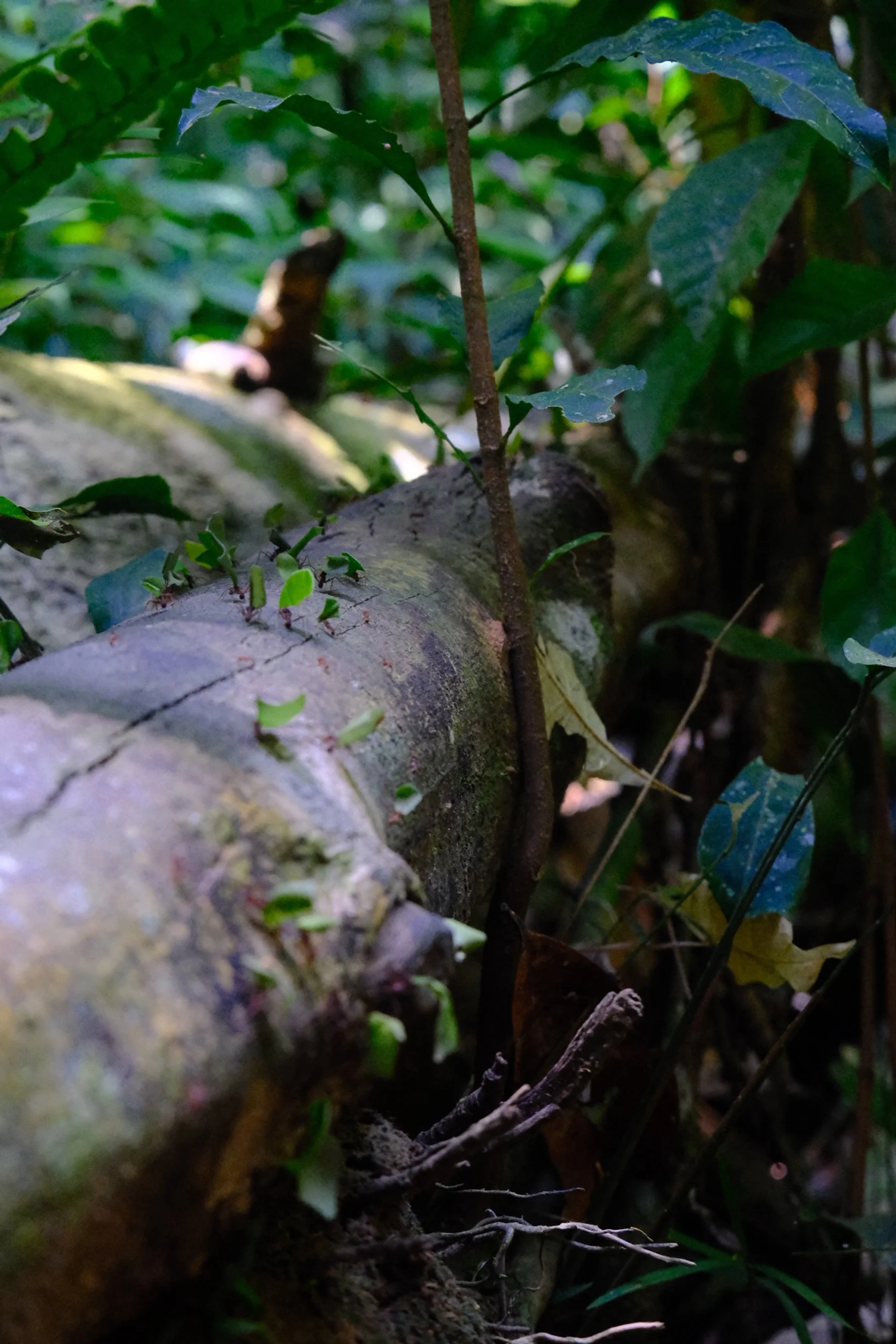 Weixin Image_20250204144705.jpg