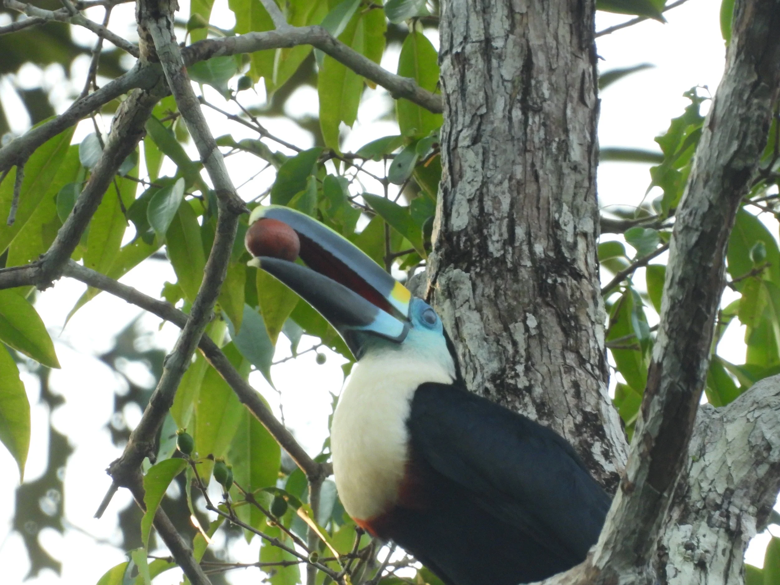 Weixin Image_20250204140716.jpg