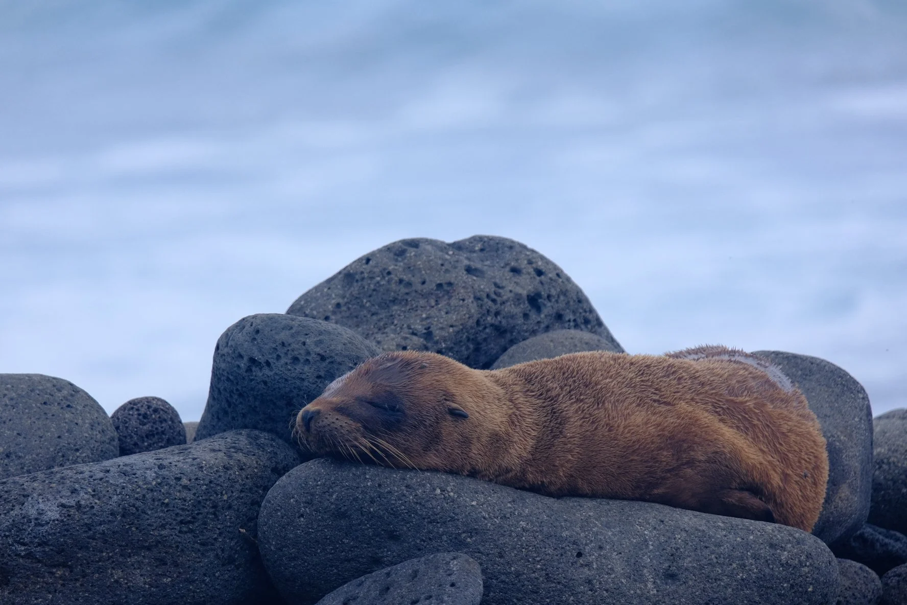 Weixin Image_20250204145931.jpg