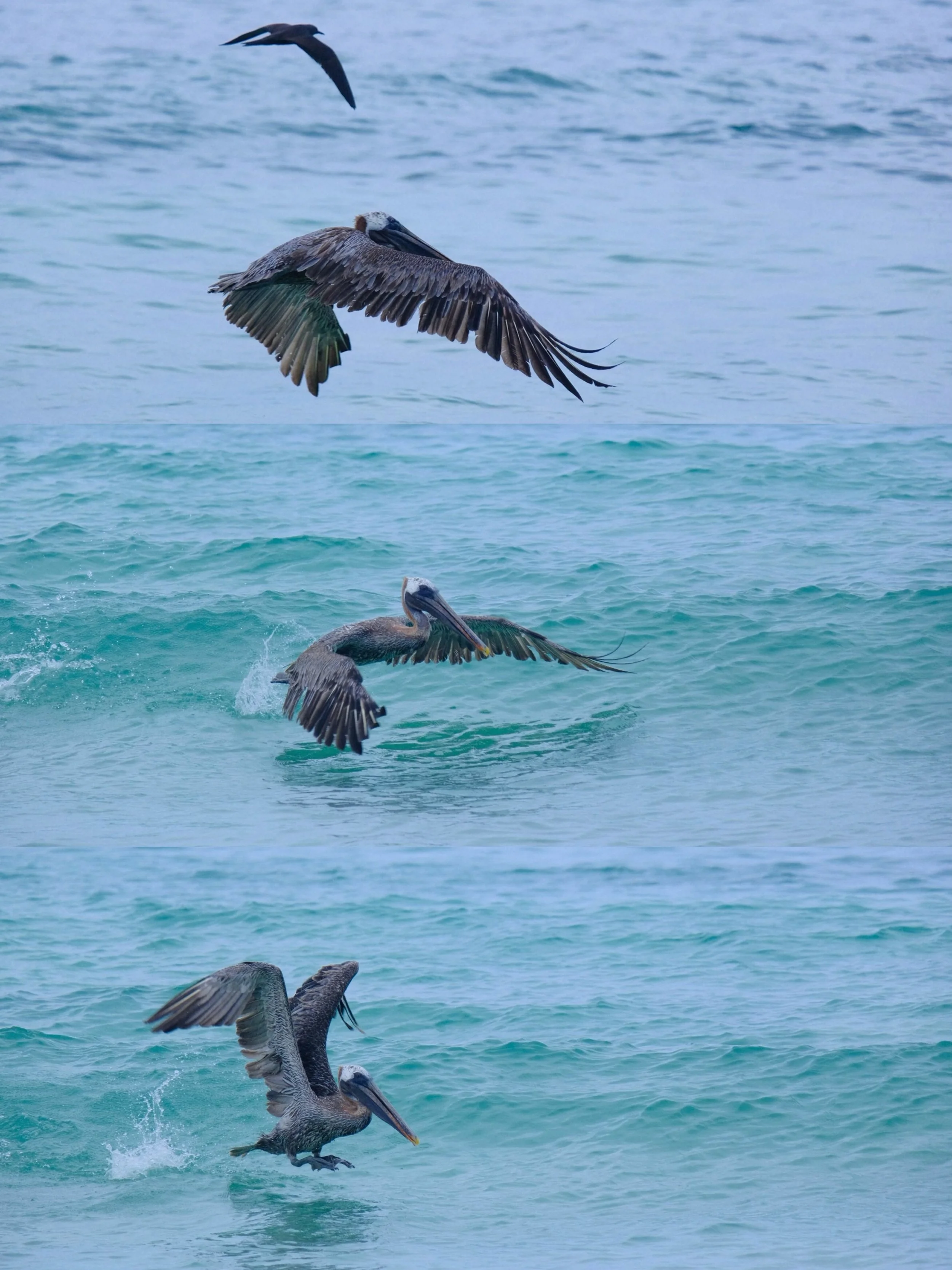 Weixin Image_20250204134748.jpg