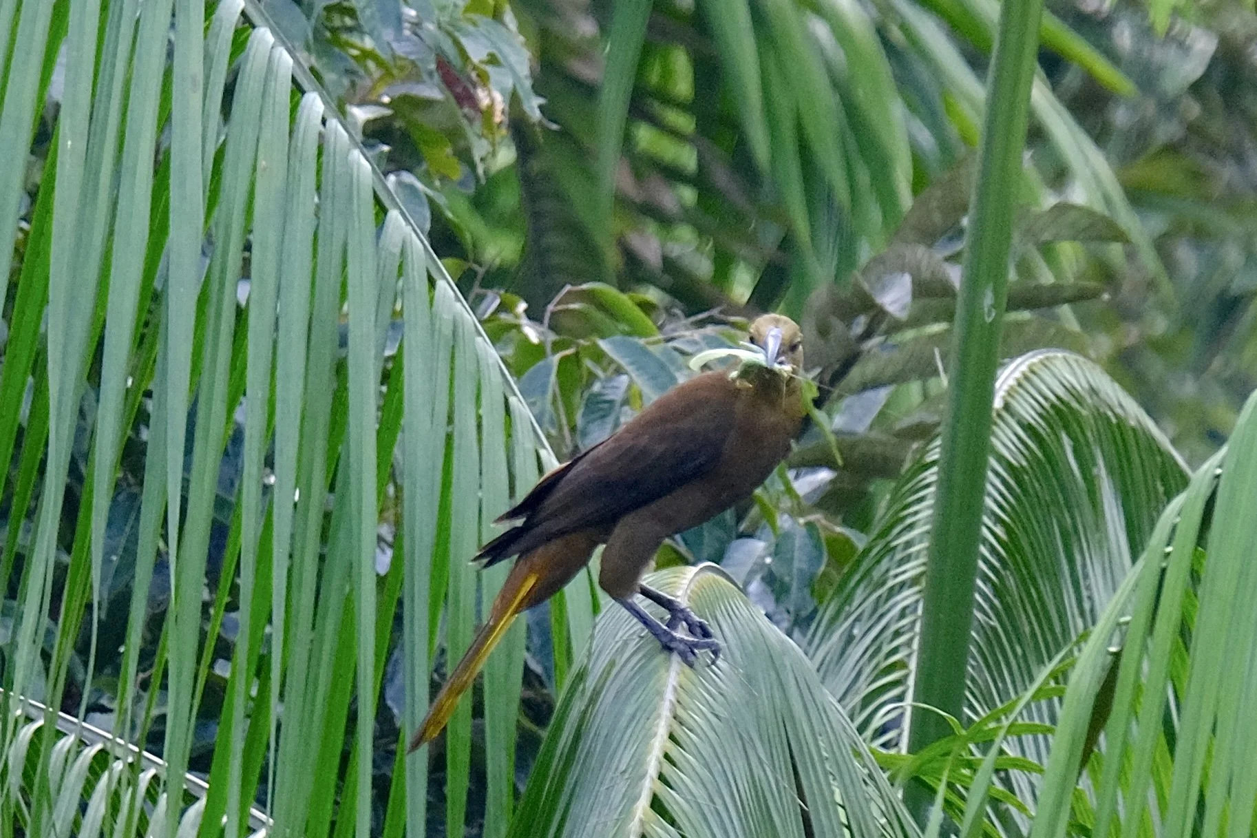 Weixin Image_20250204140651.jpg