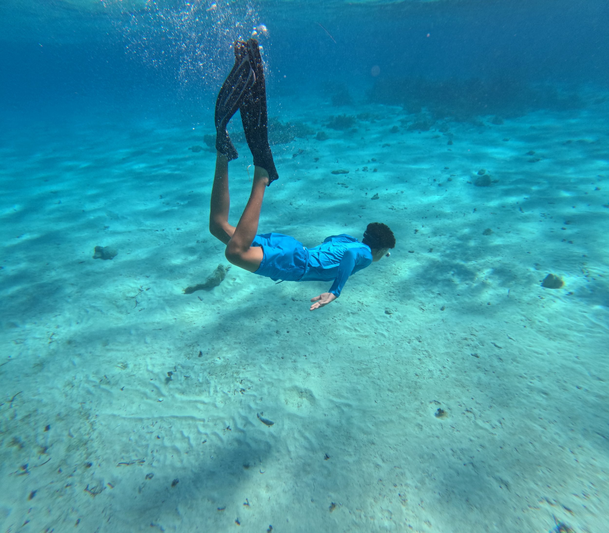 Coral Gardens Cayman Islands