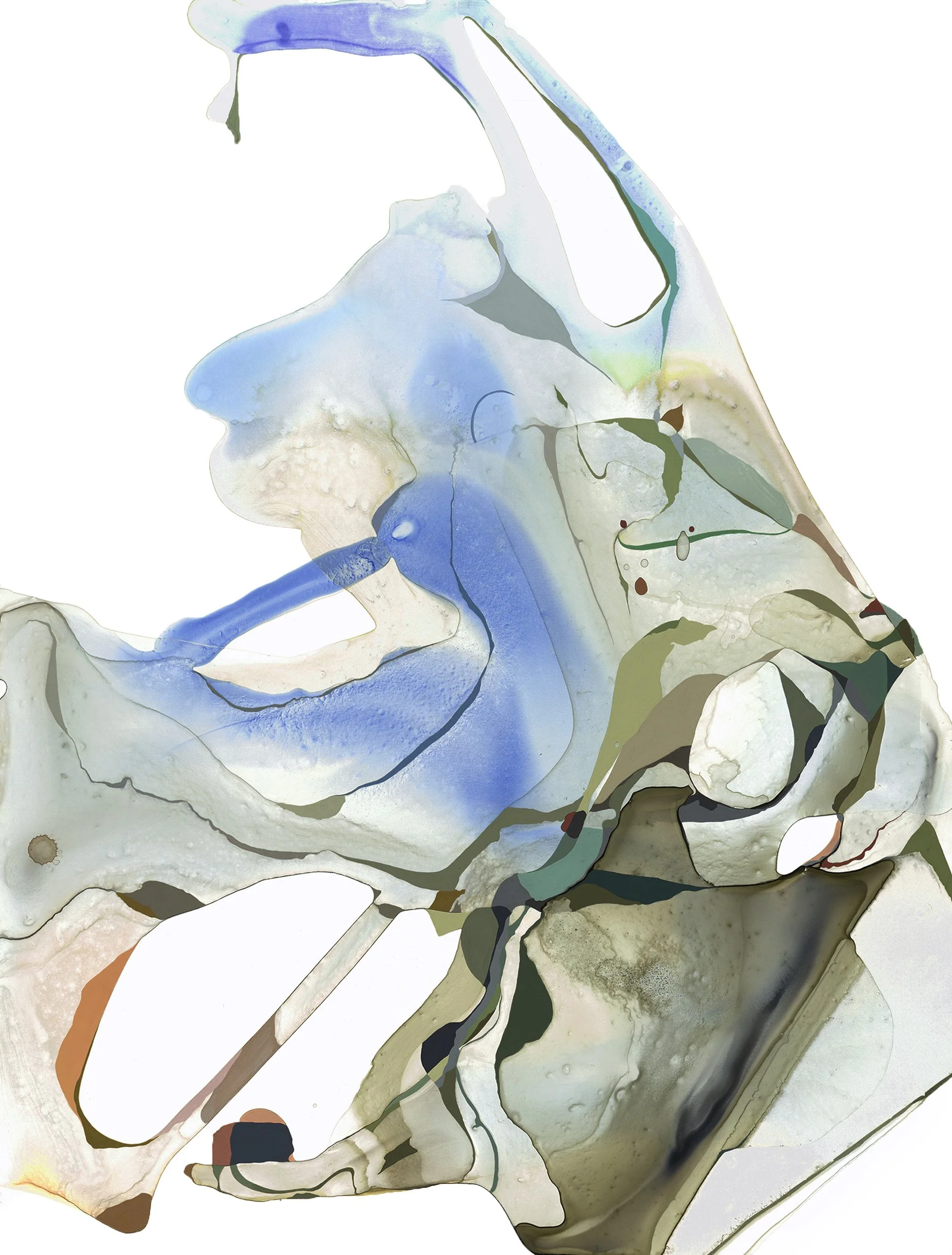 Paper Flora, 20 x 26 inches, Watercolor, gouache, and acrylic ink on paper, Available